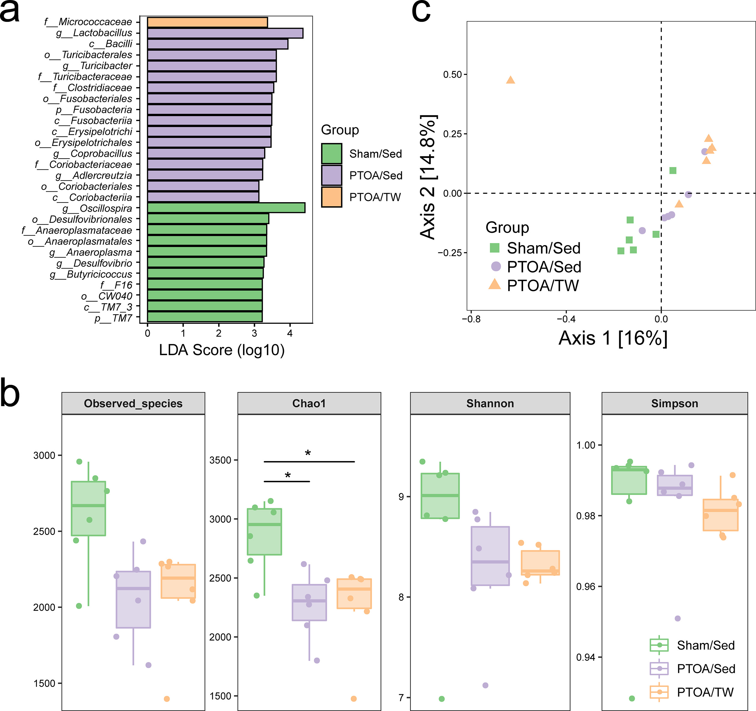 Fig. 4 
            The composition and diversity of gut microbiome in the exercised post-traumatic osteoarthritic (PTOA) animals. a) Linear discriminant analysis effect size (LEfSe) analysis of the fecal bacterial community of the sham/sedentary (Sed), PTOA/Sed, and PTOA/treadmill-walking (TW) groups. b) Comparison of the fecal microbial community diversity of the Sham/Sed, PTOA/Sed, and PTOA/TW group, including comparison of the number of observed operational taxonomic units, Chao 1 index, Shannon index, and Simpson index. c) Trajectory of the gut microbiome structure of rats based on Bray-Curtis distance. LDA, linear discriminant analysis.
          