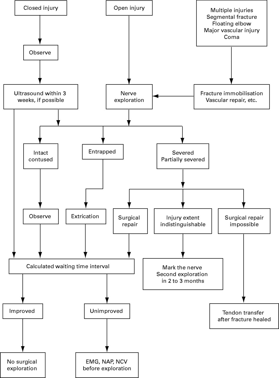 Radial nerve palsy associated with fractures of the shaft of the ...