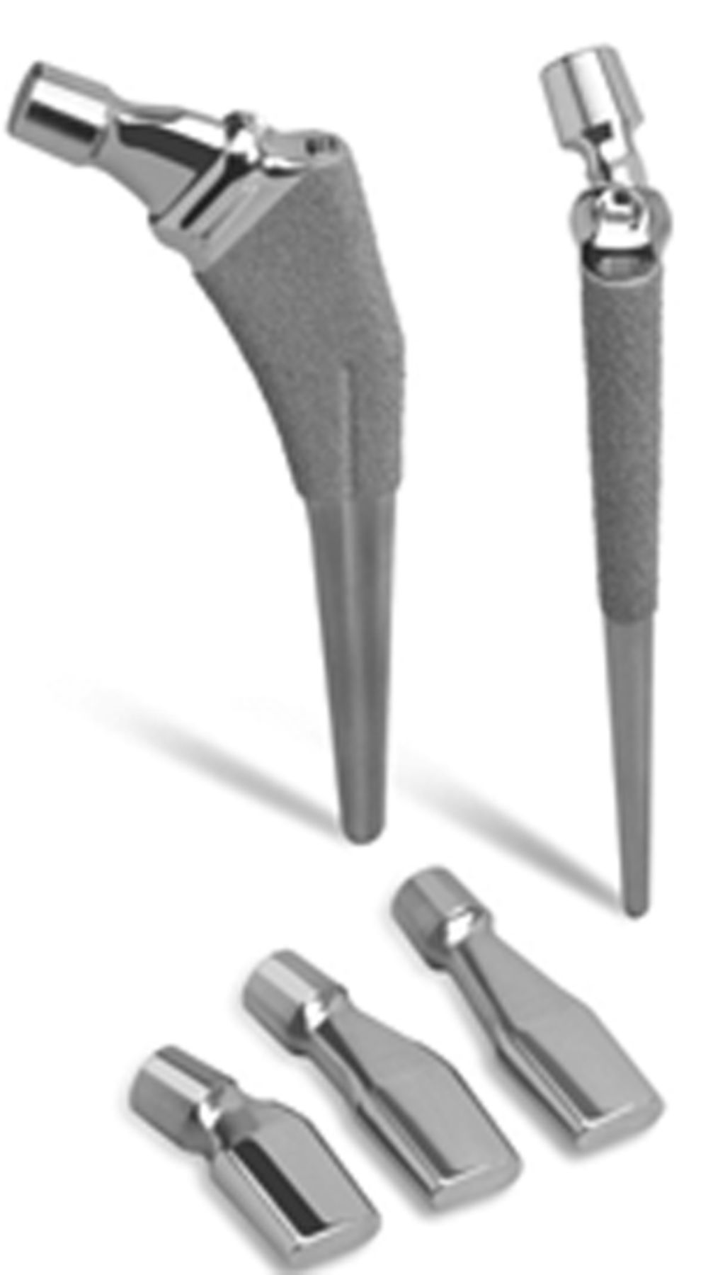 Modular neck femoral stems Bone & Joint