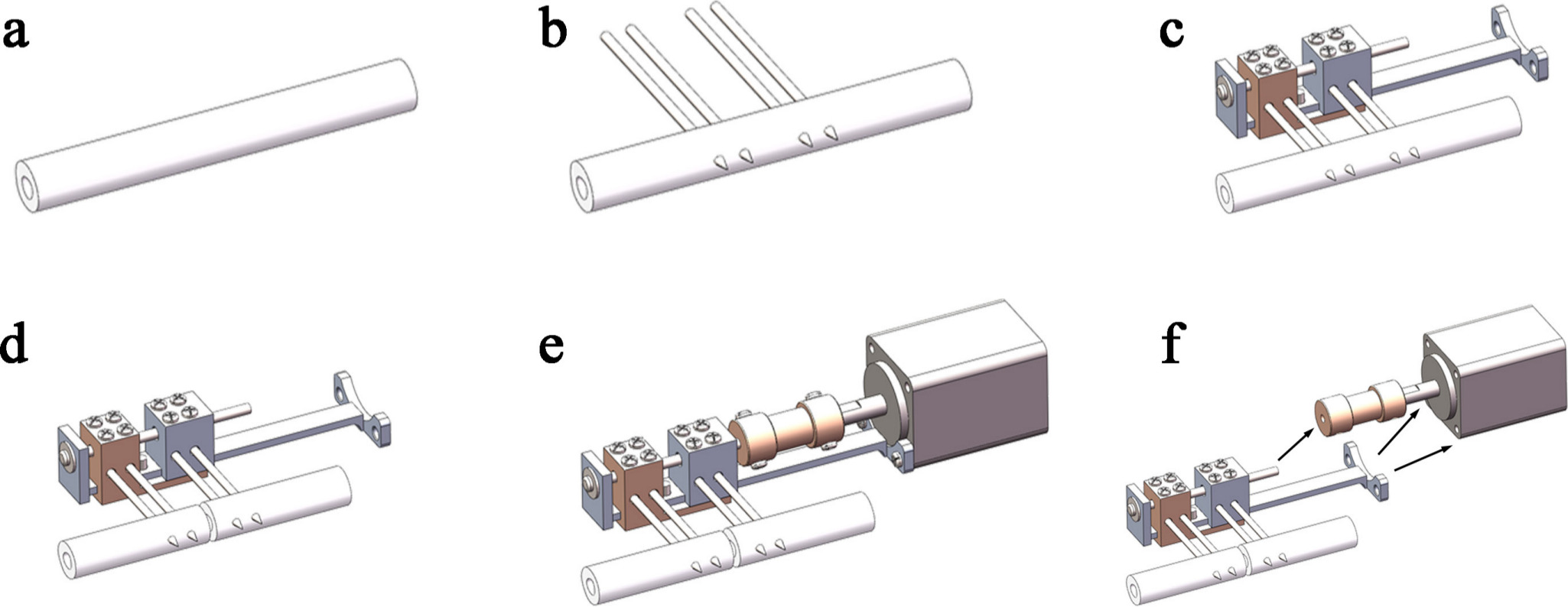 Fig. 3 
            The schematic diagrams of surgical techniques: a) exposing the femur; b) inserting Kirschner wires after pilot holes were made on the femur; c) installing external fixator; d) making a 2 mm fracture gap before surgical suturing; e) inserting motor after two-week postoperative recovery, then running the stepping motor to apply micromotion to the fracture; and f) dismantling the stepping motor and the coupling after each micromotion application.
          