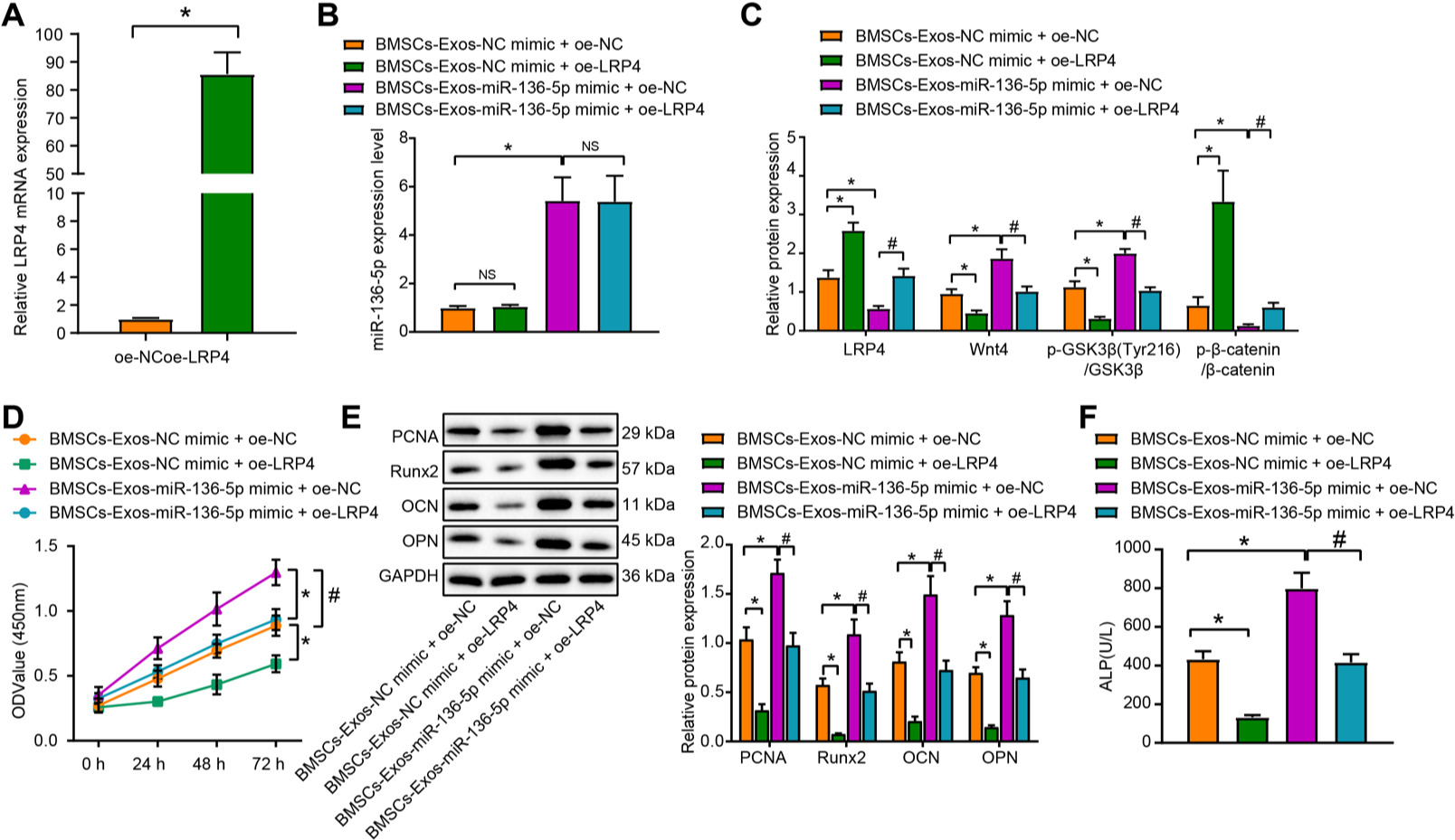 Fig. 5 
            miR-136-5p-containing bone marrow mesenchymal stem cell (BMSC)-Exos regulate low-density lipoprotein receptor related protein 4 (LRP4)/Wnt/β-catenin axis to promote MC3T3-E1 proliferation and osteogenic differentiation. a) Reverse transcription quantitative polymerase chain reaction (RT-qPCR) detection of the transfection efficiency of LRP4 overexpression in MC3T3-E1 cells; MC3T3-E1 cells were treated with exosomes from miR-136-5p mimic-transfected BMSCs, or in combination with oe-LRP4. b) RT-qPCR detection of the expression of miR-136-5p in MC3T3-E1 cells; c) Western blot detection of the expression of LRP4 and Wnt/β-catenin pathway related proteins in MC3T3-E1 cells; d) cell counting kit (CCK)-8 detection of the proliferation rate of MC3T3-E1 cells; e) Western blot detection of the protein expression of proliferating cell nuclear antigen (PCNA), Runt-related transcription factor 2 (Runx2), osteocalcin (OCN), and osteopontin (OPN) in MC3T3-E1 cells; f) alkaline phosphatase (ALP) activity of the supernatant of MC3T3-E1 cells detected by disodium phenyl phosphate microplate method. * and # indicate p < 0.05, and NS represents p > 0.05. Measurement data were presented as mean and standard deviation. Unpaired t-test was used for data comparison between two groups. Data comparisons among multiple groups were performed using one-way analysis of variance (ANOVA) with Tukey’s post hoc test. Data comparison among groups at different timepoints was performed by repeated measures ANOVA with Bonferroni’s post hoc test. The experiment was repeated three times. mRNA, messenger RNA; NS, non-significant.
          