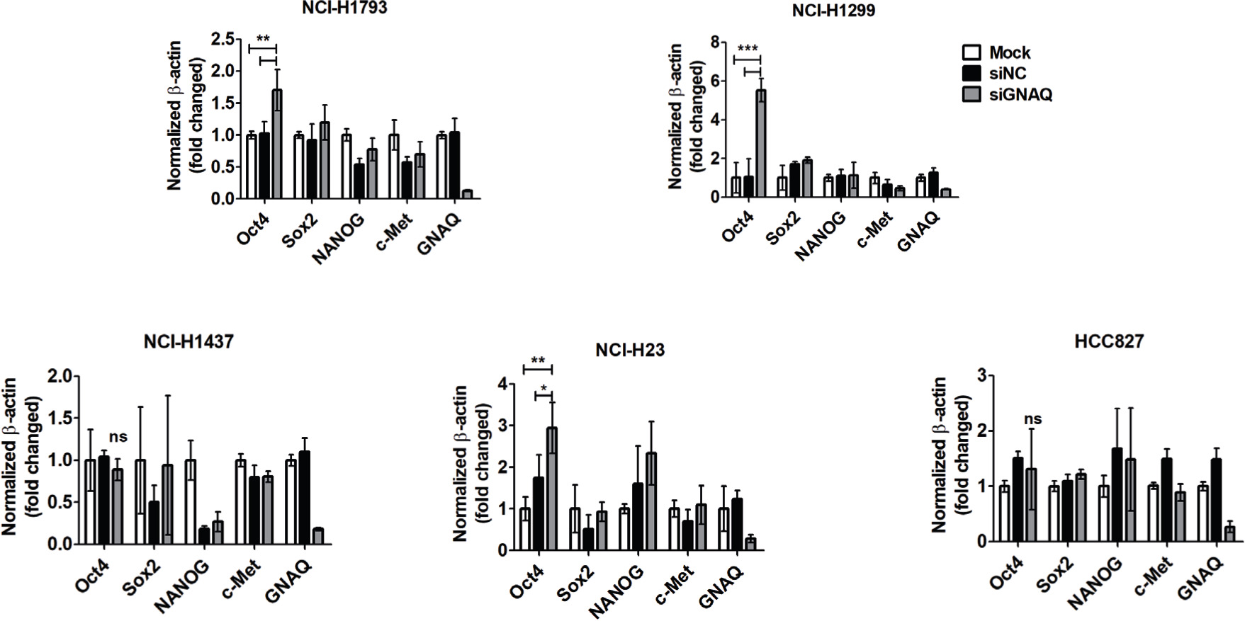 Fig. 4 
            Knockdown of G protein subunit alpha Q (GNAQ) enhances stem cell-like properties in lung cancer cells. Real-time quantitative polymerase chain reaction (PCR) analysis of Oct4, SOX2, NANOG, and cMet messenger RNA (mRNA) expression in lung cancer cell lines (NCI-H1793, NCI-H1299, NCI-H1437, NCI-H23, and HCC827). si, small interfering.
          