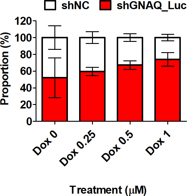 Fig. 5 
            The corresponding graph for Figure 3e: proportion of cells in response to treatment with doxorubicin. Control and stably luciferase-expressing G protein subunit alpha Q (GNAQ)-knockdown cells were 1:1 co-cultured and treated with doxorubicin at concentrations ranging from 0.25 μM to 1 μM for 72 hours. shNC, negative control short hairpin RNA.
          