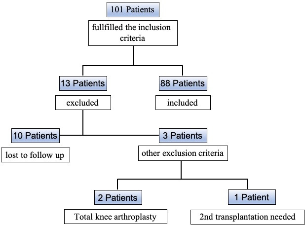 Fig. 1 
            Patient inclusion flowchart.
          