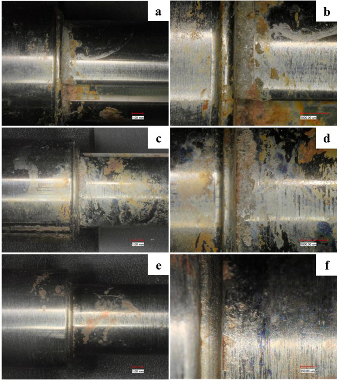 Fig. 2 
            Images of the corrosive attack at the nail’s telescopic junction taken with digital microscope at 20× (left column) and 50× magnification (right column). The retrieved implants from: a) and b) patient no. 12; c) and d) no. 47; and e) and f) no. 39 are depicted. All analyzed implants revealed a corrosive attack at the telescopic junction of the nail.
          
