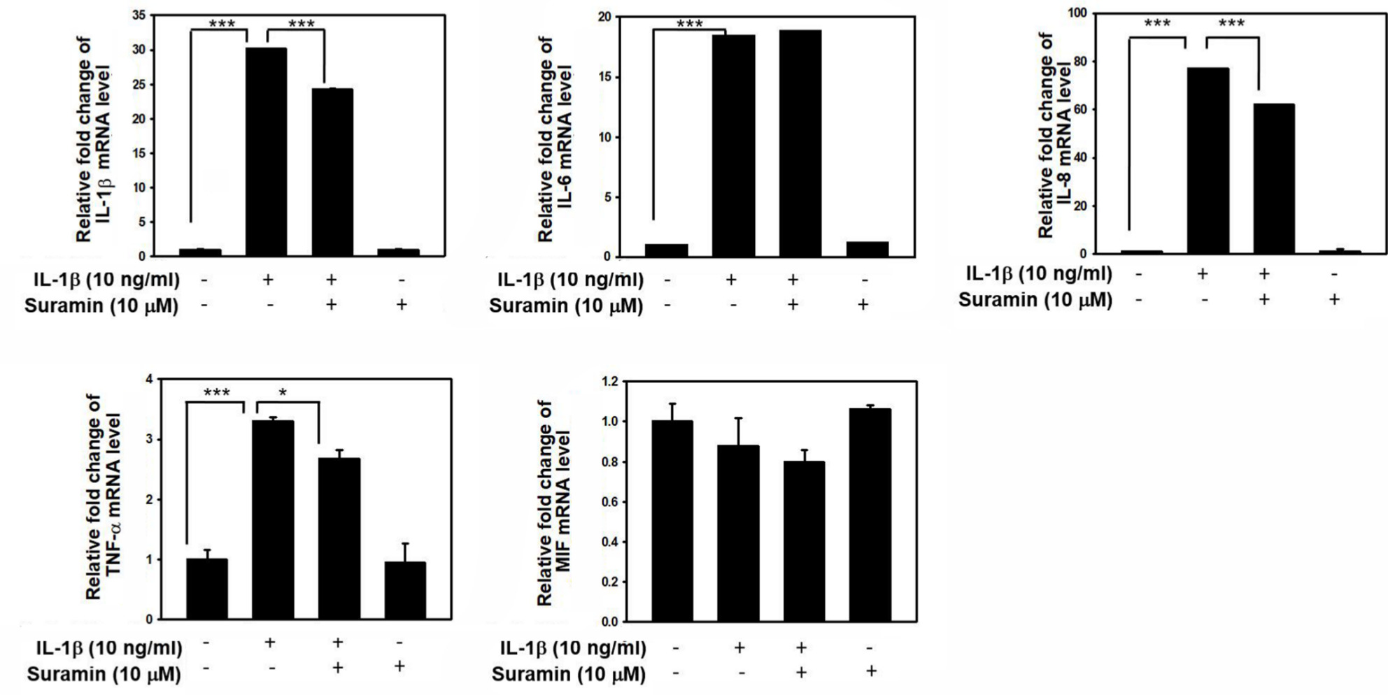 Fig. 6 
            Effect of suramin on interleukin (IL)-1β-induced proinflammatory cytokines production. The nucleus pulposus (NP) cells were treated with or without 10 ng/ml IL-1β for 24 hours, following pretreatment with vehicle or suramin for 10 μM suramin for 24 hours. Total RNA were extracted for real-time polymerase chain reaction analysis of IL-1β, IL-6, IL-8, tumour necrosis factor alpha (TNF-α), and macrophage migration inhibitory-1 (MIF) messenger RNA (mRNA) expression. *p < 0.05, ***p < 0.001. All data are shown as the mean and standard deviation (n = 3 to 5), and were analyzed by independent-samples t-test.
          