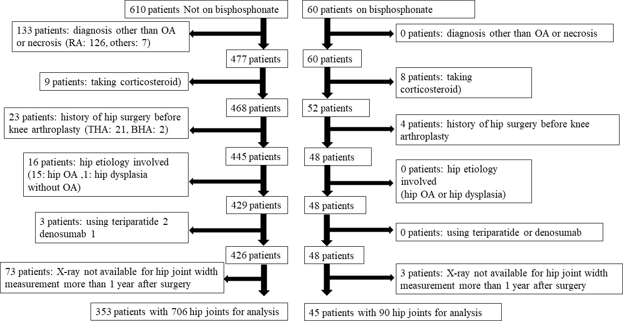 Fig. 1 
          Flow chart showing inclusion and exclusion of patients. BHA, bipolar hip arthroplasty; RA, rheumatoid arthritis; OA, osteoarthritis; THA, total hip arthroplasty.
        