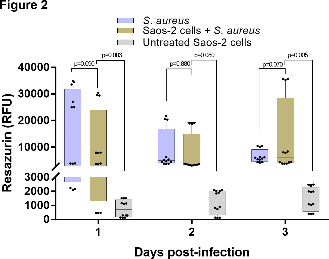 Fig. 2 
            Altered metabolic activity in the Staphylococcus aureus-infected osteoblasts. Resazurin assay of the S. aureus-infected osteoblasts shows abnormally high metabolic activity, similar to the planktonic bacteria, and significantly higher than the uninfected (native) osteoblasts. n = 4; two-way analysis of variance (ANOVA) with Tukey’s multiple comparisons test. RFU, resorufin fluorescence unit.
          