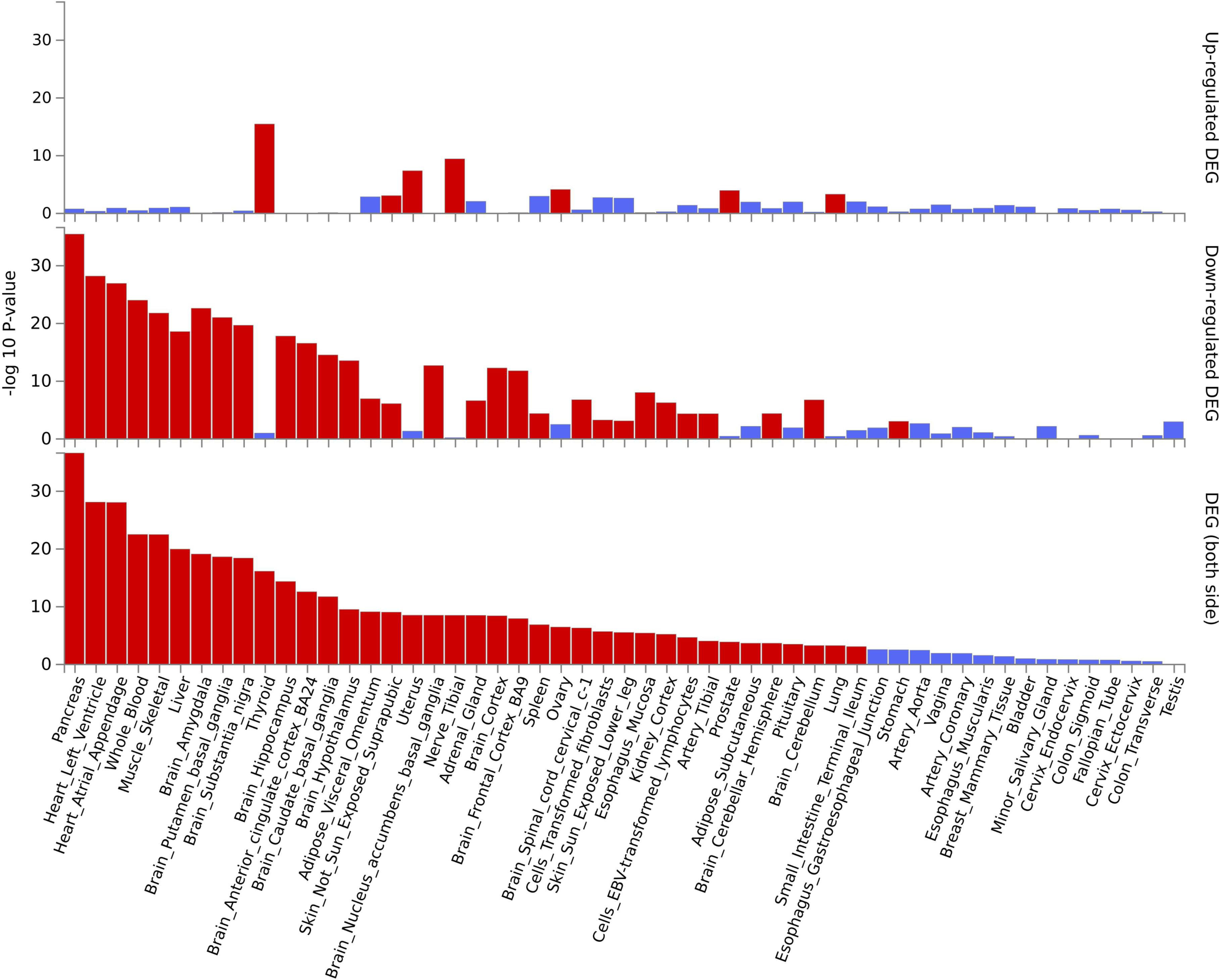 Fig. 3 
            Expression of candidate genes of degenerative cervical spondylosis (DCS) in different tissue sites. We found that the candidate genes shared between the transcriptome-wide association study (TWAS) and RNA expression profile data of DCS were differentially expressed in skeletal muscle and whole blood. A red bar colour indicates significant differential expression. DEG, differentially expressed gene.
          