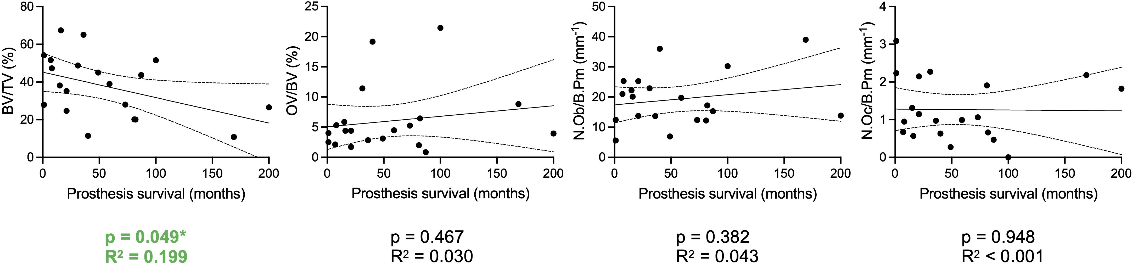 Fig. 3 
            Associations between prosthesis survival and histological, periprosthetic bone tissue parameters in the periprosthetic joint infection group. Linear regression analysis between prosthesis survival in months and skeletal parameters (bone volume per tissue volume (BV/TV), osteoid volume per bone volume (OV/BV), number of osteoblasts per bone perimeter (N.Ob/B.Pm), number of osteoclasts per bone perimeter (N.Oc/B.Pm)) (n = 20). Exact p-values and R2 values are displayed.
          