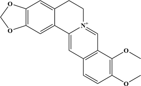 Fig. 1 
          The molecular structure of berberine.
        