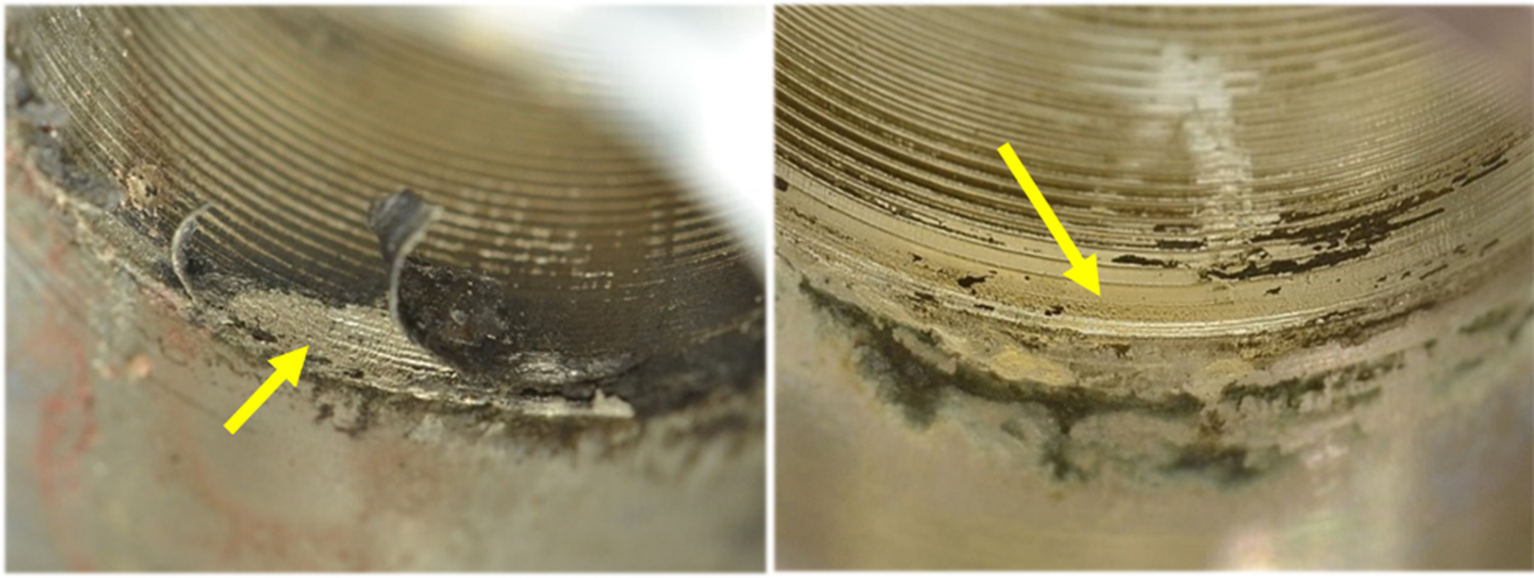 Fig. 1 
            Two examples of corrosive damage that would receive a grade of 4 using the Goldberg score due to the presence of deposits, but are further distinguished as a 5 using the visual grading system score, due to the presence of significant localized material loss as indicated by the arrows (maximum opening at the distal taper sleeve is 14 mm.)
          