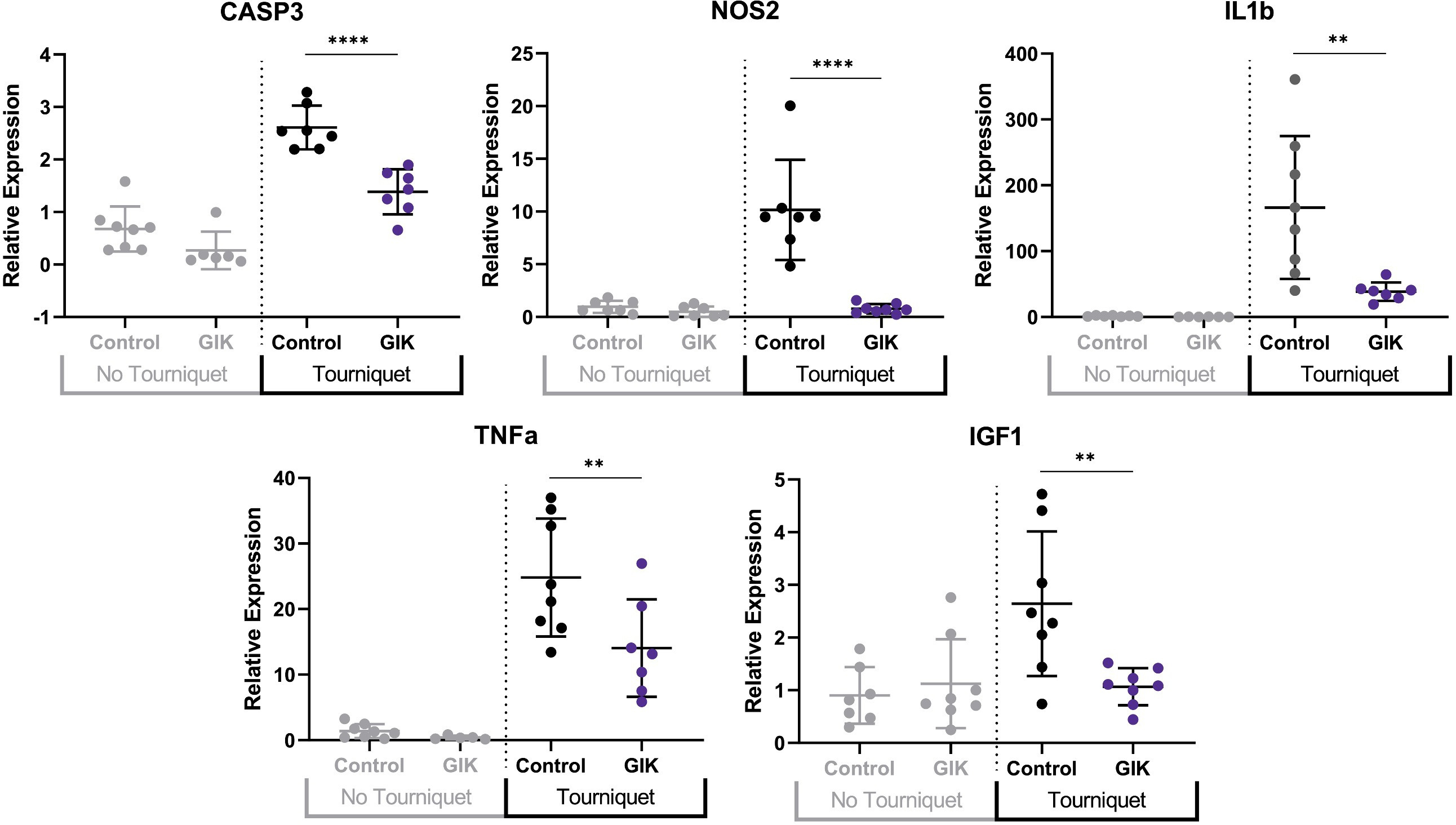 Fig. 2 
          Quantification of relative gene expression in tourniqueted peroneal muscles for the control cohort compared to the glucose-insulin-potassium (GIK) cohort demonstrating significantly greater cell death (CASP3: 2.611 (n = 7) vs 1.386 (n = 7), p < 0.001) and significantly more inflammation (nitric oxide synthase 2 (NOS2): 10.150 (n = 7) vs 0.772 (n = 7), p < 0.001; interleukin-1 beta (IL-1ß): 166.300 (n = 8) vs 38.500 (n = 7), p = 0.002; tumour necrosis factor alpha (TNF-a): 24.820 (n = 8) vs 14.060 (n = 7), p = 0.010; insulin-like growth factor 1 (IGF1): 2.643 (n = 8) vs 1.066 (n = 8), p = 0.007, one-way analysis of variance with Tukey’s multiple comparisons). **p ≤ 0.01; ****p ≤ 0.001.
        