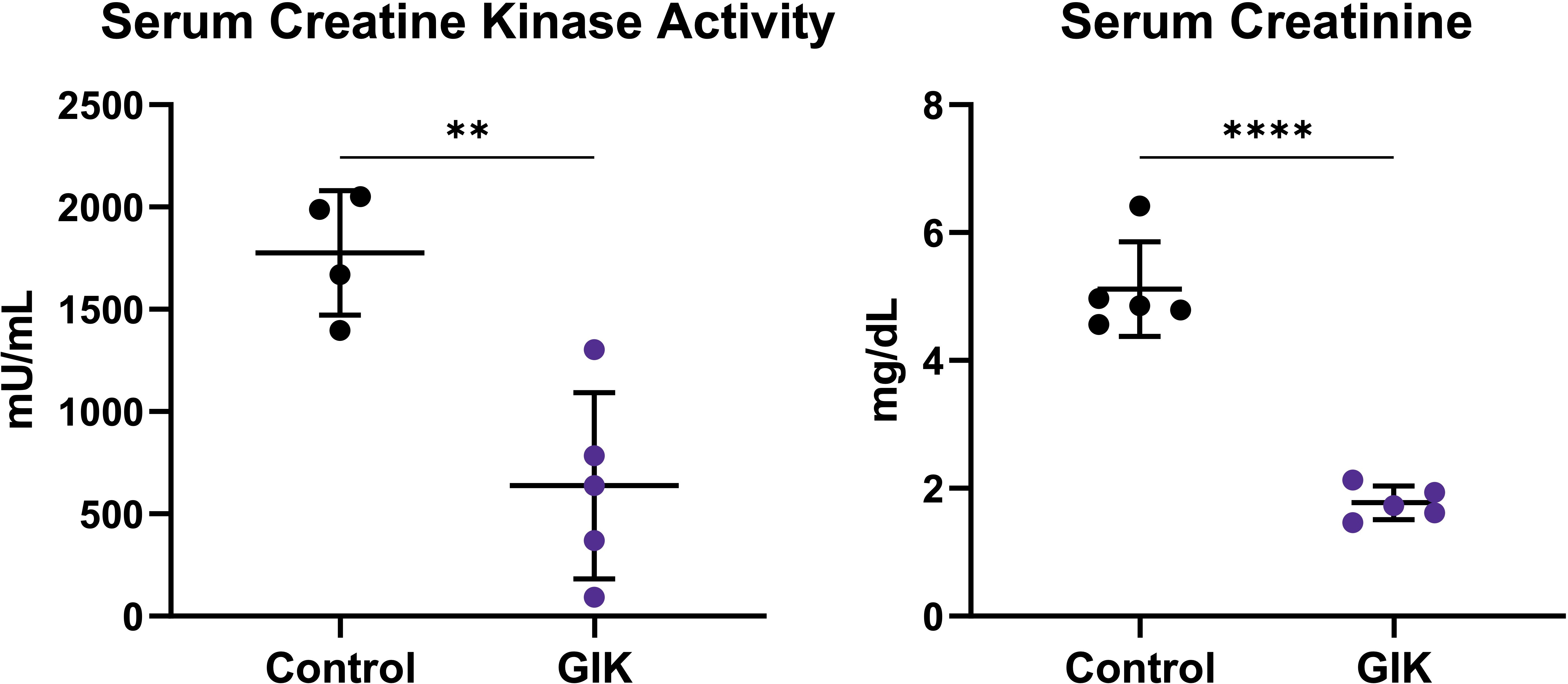 Fig. 3 
          Serum analysis of creatine kinase activity to quantify circulating skeletal muscle breakdown products and creatinine concentration as a marker of kidney injury. Both creatine kinase activity and creatinine concentration were significantly greater in the control cohort compared to the glucose-insulin-potassium (GIK) cohort (creatine kinase activity: 1,776 (n = 4) vs 637.7 (n = 5), p = 0.004; creatinine: 5.12 (n = 5) vs 1.78 (n = 5), p < 0.001, independent-samples t-test). **p ≤ 0.01; ****p ≤ 0.001.
        