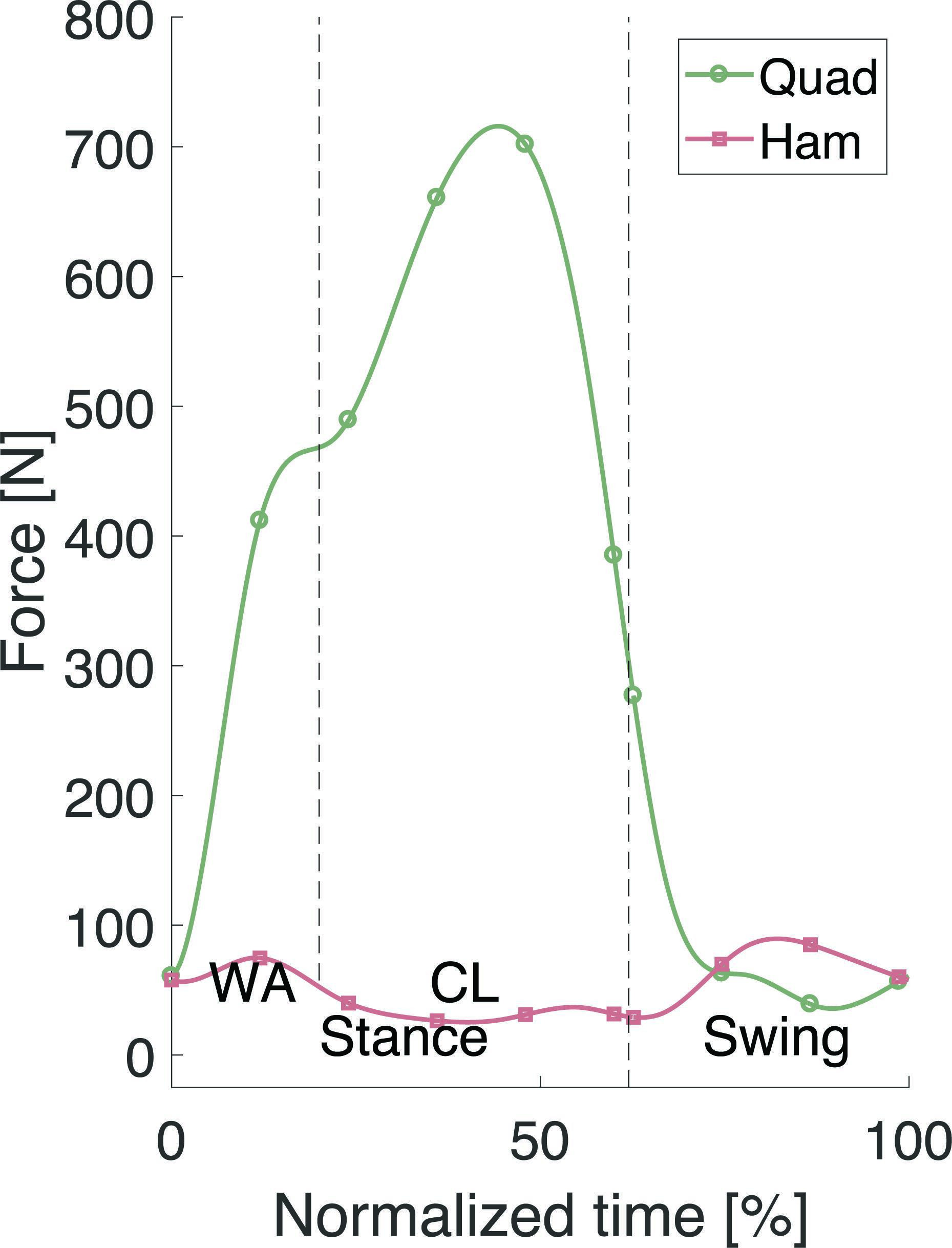 Fig. 3 
            The applied quadriceps (Quad) and hamstring (Ham) forces during the stair descent cycle. CL, controlled lowering phase; WA, weight acceptance phase.
          