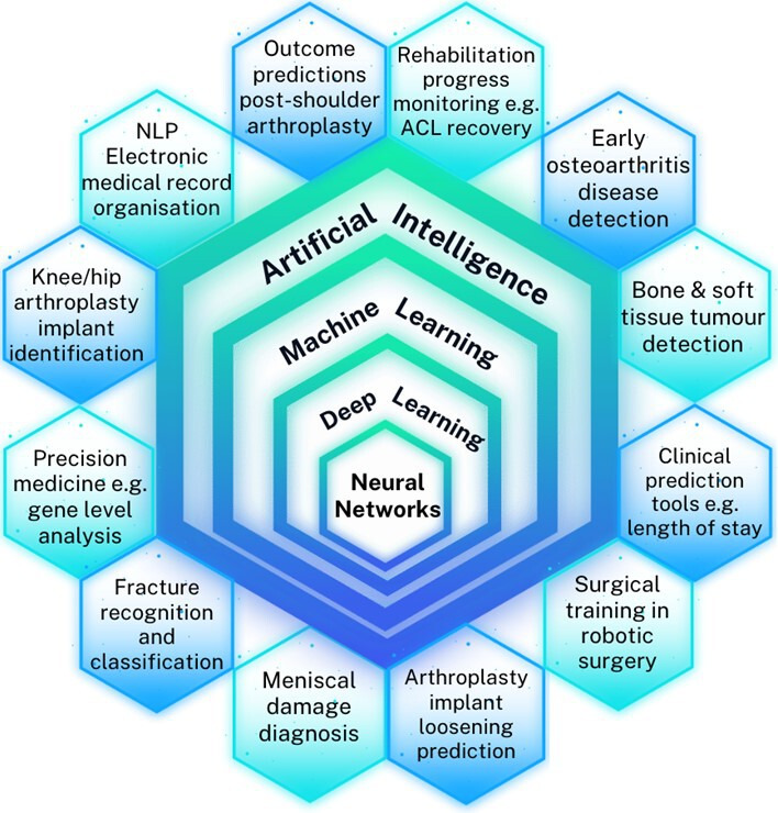 Fig. 1 
          Key artificial intelligence applications in trauma and orthopaedic surgery. ACL, anterior cruciate ligament; NLP, natural language processing.
        