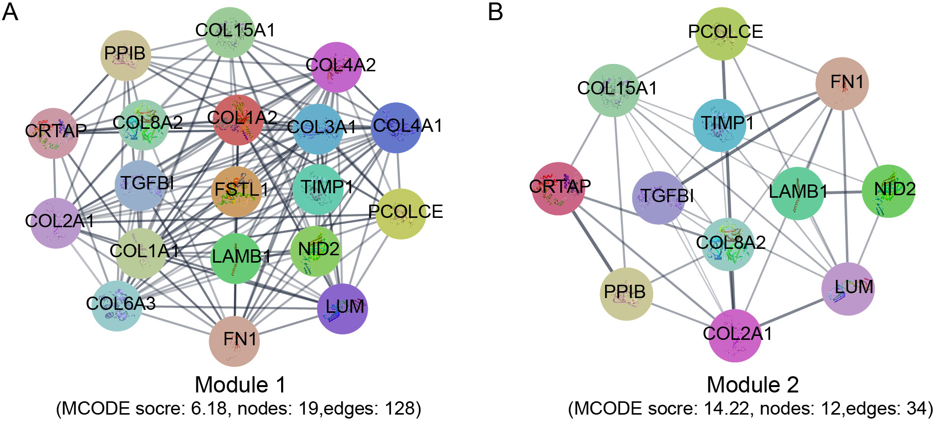 Fig. 5 
            The module analysis of the protein-protein interaction (PPI) network. a) Module 1 contained 19 gene nodes and 128 edges, MCODE score = 6.18. b) Module 2 contained 12 upregulated gene nodes and 34 edges, MCODE score = 14.22.
          
