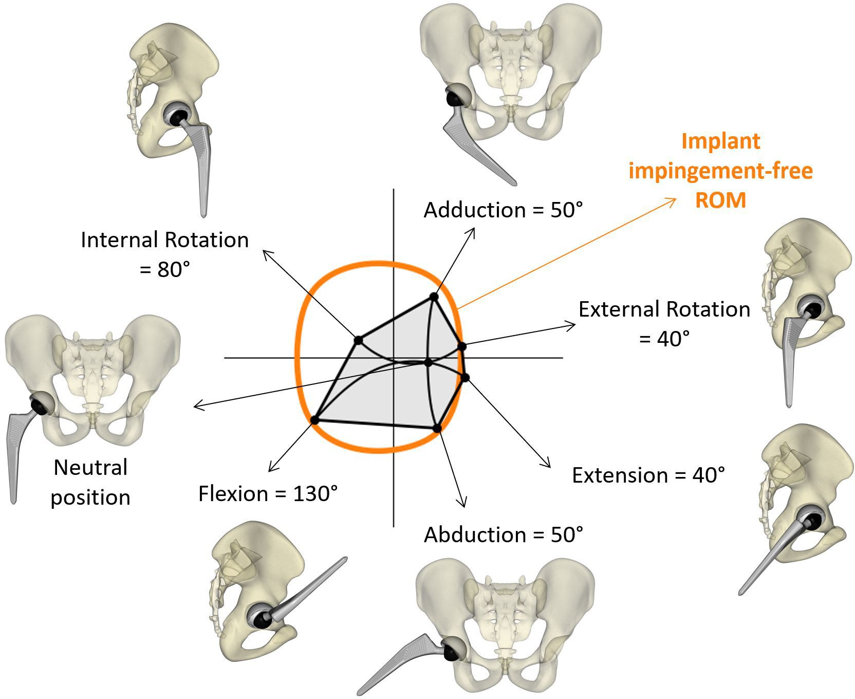 Fig. 2 
            Hip physiological motions as defined by Widmer and Zurfluh,12 overlaid with the implant impingement-free range of motion (ROM) to determine impingement occurrence.
          