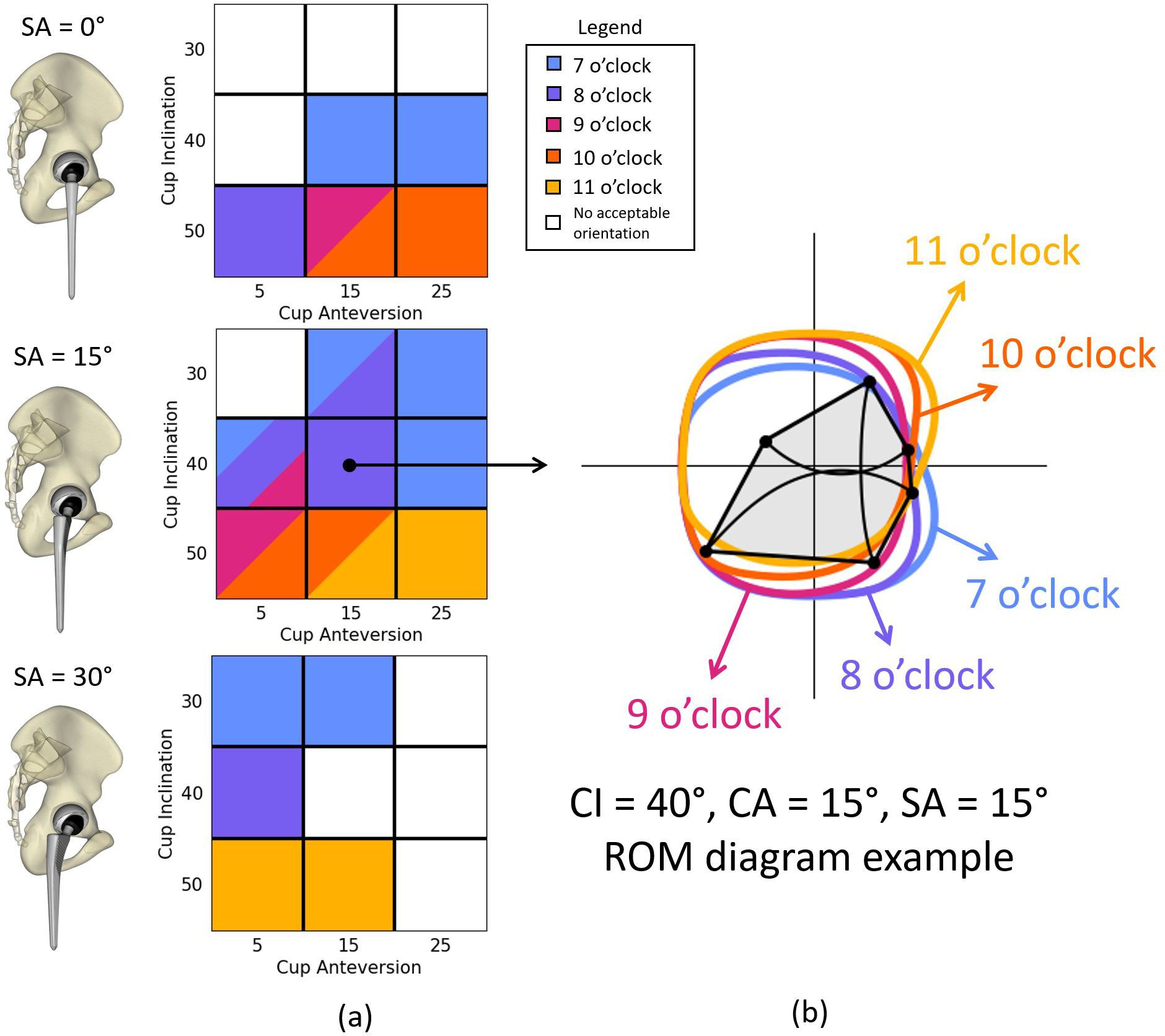 Fig. 4 
            a) White squares indicate unacceptable cup placements (i.e. all lip orientations limited hip physiological rotations by more than 10°). Coloured squares indicate acceptable combinations, and each square’s colour represents the best-performing lip orientation (i.e. providing minimum impingement) according to the legend. Squares with multiple colours indicate that multiple lip orientations were equivalent in terms of impingement during the simulated hip physiological motions. b) Sample results. Hip motions overlaid with implant impingement-free range of motion (ROM) profiles. Refer to Figure 2 for a description of the hip motion extremes represented with the black polygon. The black polygon extremes change position when placement parameters change, whereas the ROM profiles do not change position within the diagram. CA, cup anteversion; CI, cup inclination; SA, stem anteversion.
          