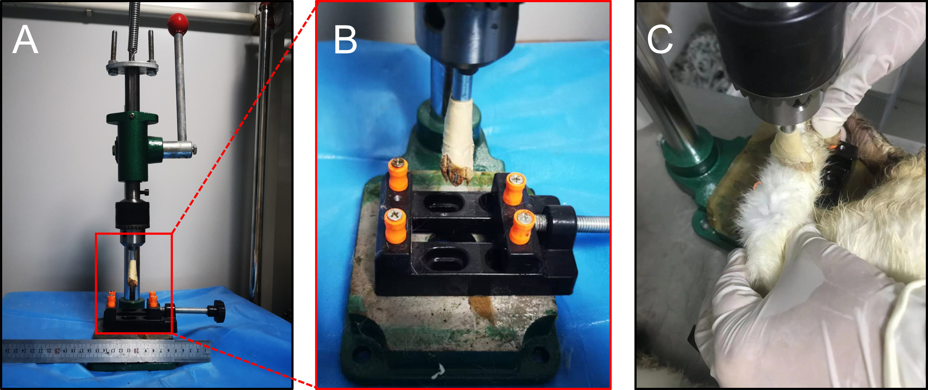 Fig. 3 
            Three-point bending fracture model apparatus. a) The appearance of fracture model apparatus. b) The lower groove of the fracture model apparatus. c) The usage process of fracture model apparatus.
          