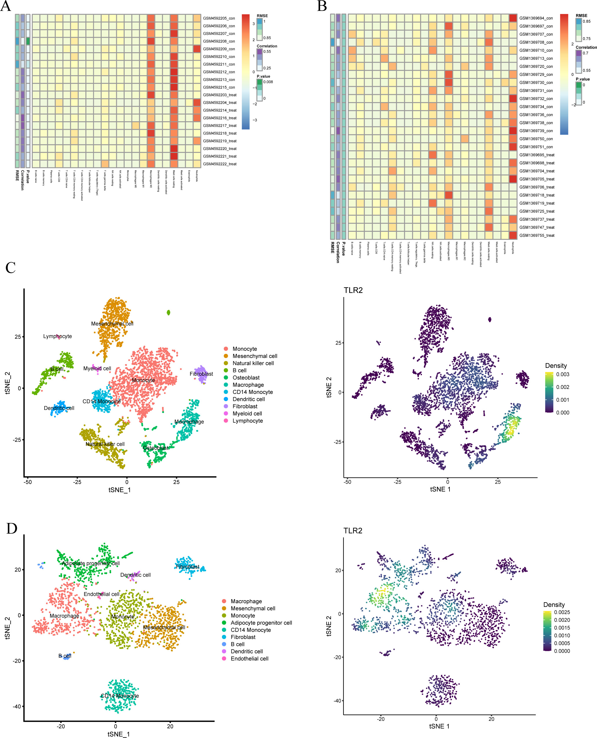 Fig. 5 
            Immune infiltration analysis and single-cell resolution studies. a) and b) Heatmaps delineating immune infiltration provide insights into the abundance of immunological cells. They provide a lucid visual representation of the density and clustering scenario of diverse immune cells within the tissues. In the heatmap, a darker hue signifies heightened immune cell abundance, whereas a lighter shade indicates reduced immune cell presence. c) t-distributed stochastic neighbor embedding (t-SNE) analysis of the osteoporosis (OP) single-cell RNA sequencing (scRNA-seq) data reveals 11 distinct cell subpopulations. Density plots highlight the pronounced expression of the Toll-like receptor 2 (TLR2) gene predominantly in macrophages. d) t-SNE examination of the OB scRNA-seq data uncovers nine unique cell subgroups. Density illustrations underscore the preeminent expression of the TLR2 gene mainly in macrophages. All p-values calculated with permutation test. RMSE, root mean square error.
          