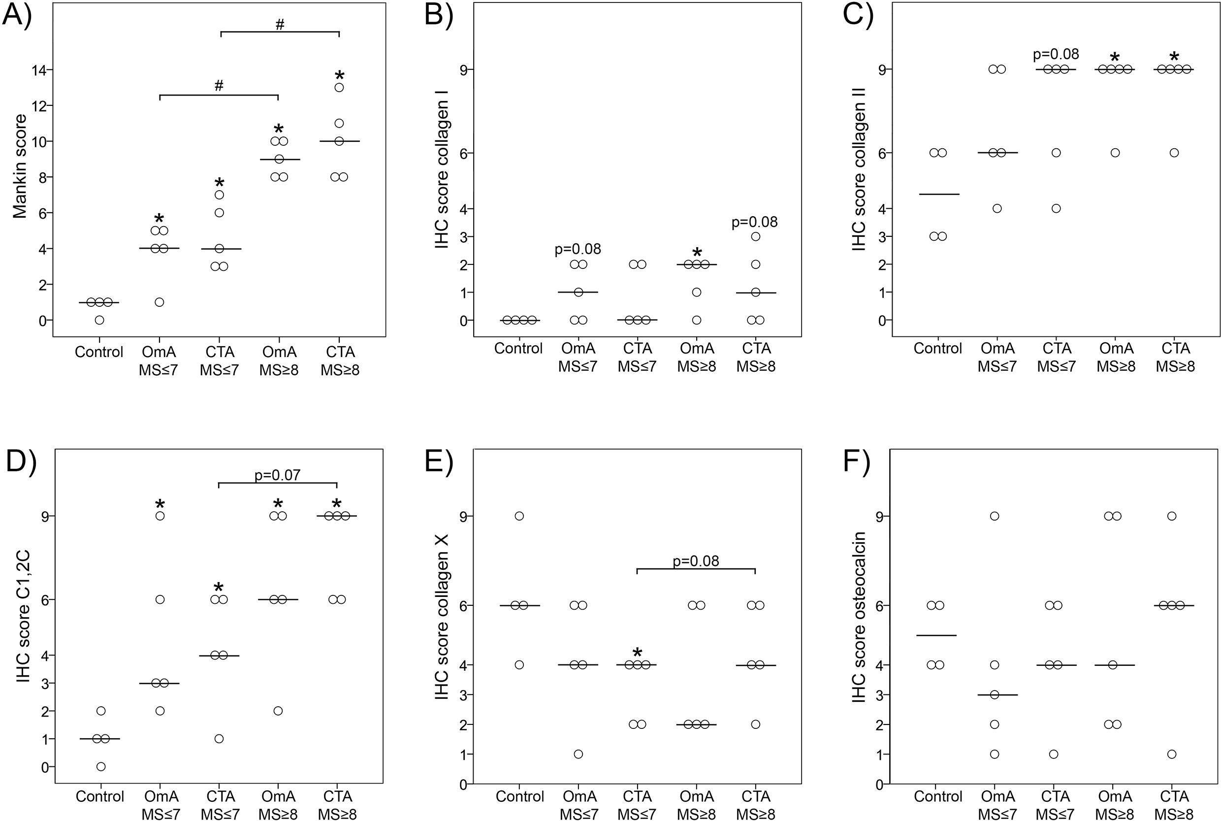 Fig. 3 
          Immunohistochemical (IHC) scores of degeneration markers in humeral cartilage from omarthrosis (OmA), cuff tear arthropathy (CTA), and controls. Osteochondral specimens from five OmA and five CTA patients were selected that exhibited both mildly (Mankin score (MS) ≤ 7) and severely degraded (MS ≥ 8) regions. Intact cartilage regions were included from control specimens for comparison. All samples were processed for histological staining with a) Safranin O or b) to f) IHC staining with specific antibodies against b) collagen type I, c) collagen type II, d) the C1,2C neoepitope, e) collagen type X, and f) osteocalcin. *p < 0.05 vs control (Mann-Whitney U test for unpaired groups). #p < 0.05: MS < 7 vs MS > 8 (Wilcoxon test for paired groups). p-values between 0.05 and 0.1 are given in exact numbers.
        