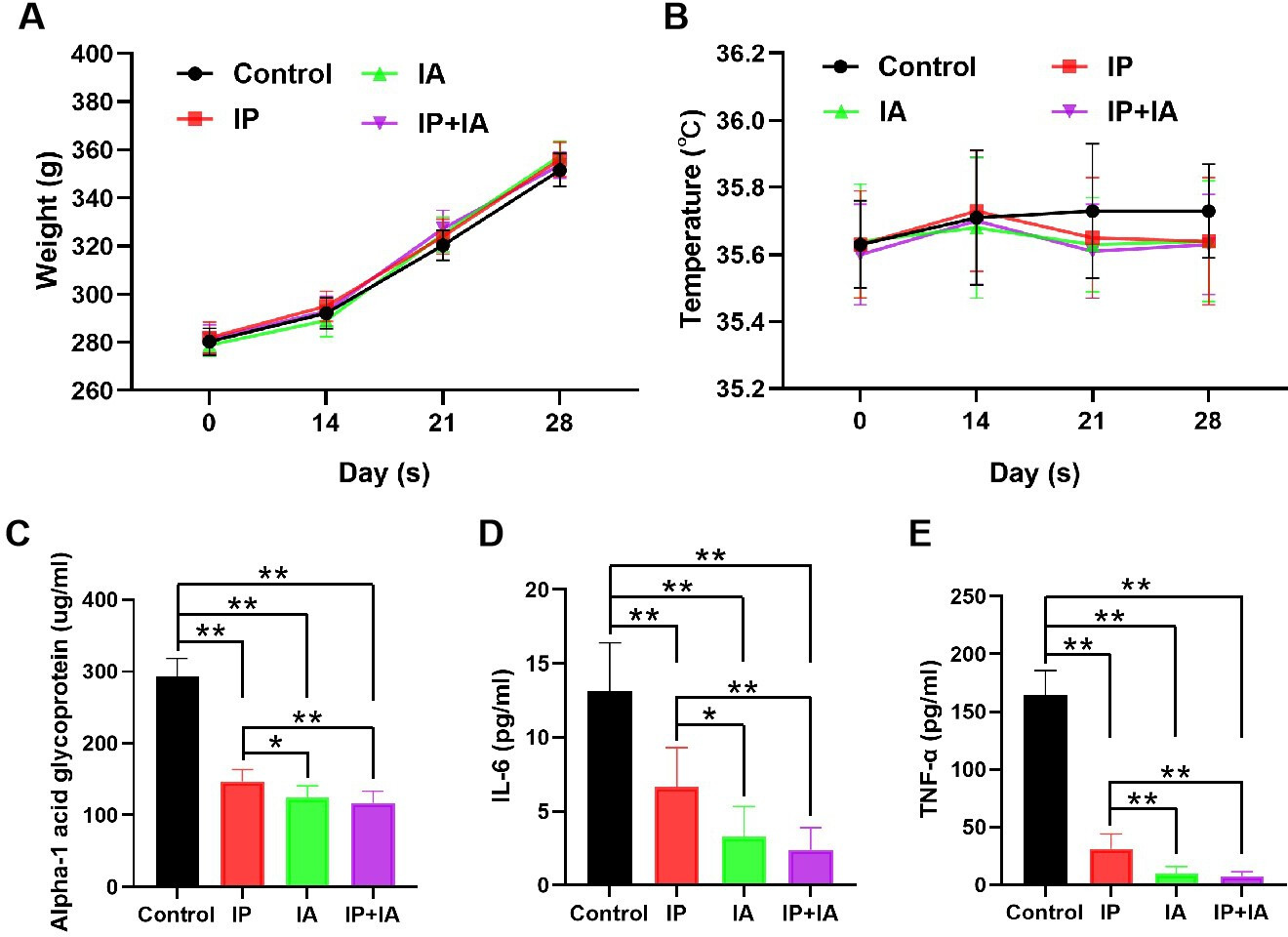 Fig. 1 
            Changes in general bodily condition in periprosthetic joint infection rats after one-stage revision. a) and b) Changes in body weight and temperature during the whole experiment (days 0, 14, 21, and 28). c) to e) Changes in serum alpha-1 acid glycoprotein, interleukin (IL)-6, and tumour necrosis factor (TNF)-α levels at two weeks after one-stage revision. N = 8 per group. *p < 0.05, **p < 0.01; one-way analysis of variance with Tukey’s multiple comparison test or Kruskal-Wallis test with Dunn’s multiple comparison test. IA, intra-articular; IP, intraperitoneal.
          