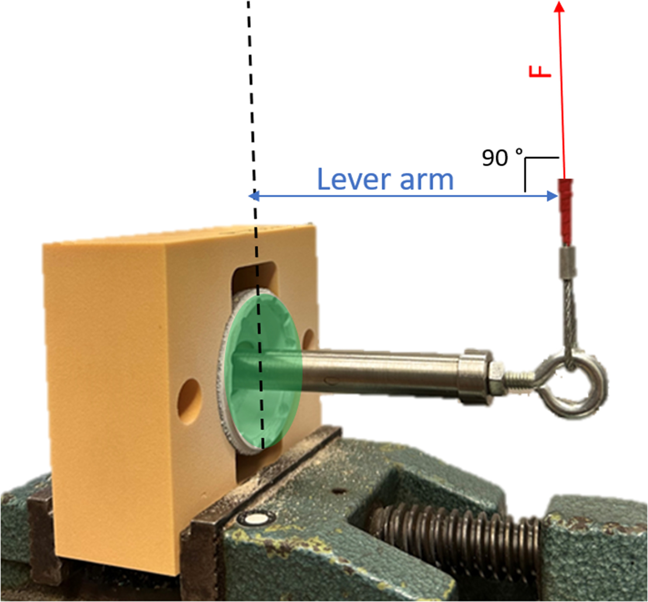 Fig. 5 
            Lever-out test. The lever arm was measured from the point of force application and the centre of the component.
          