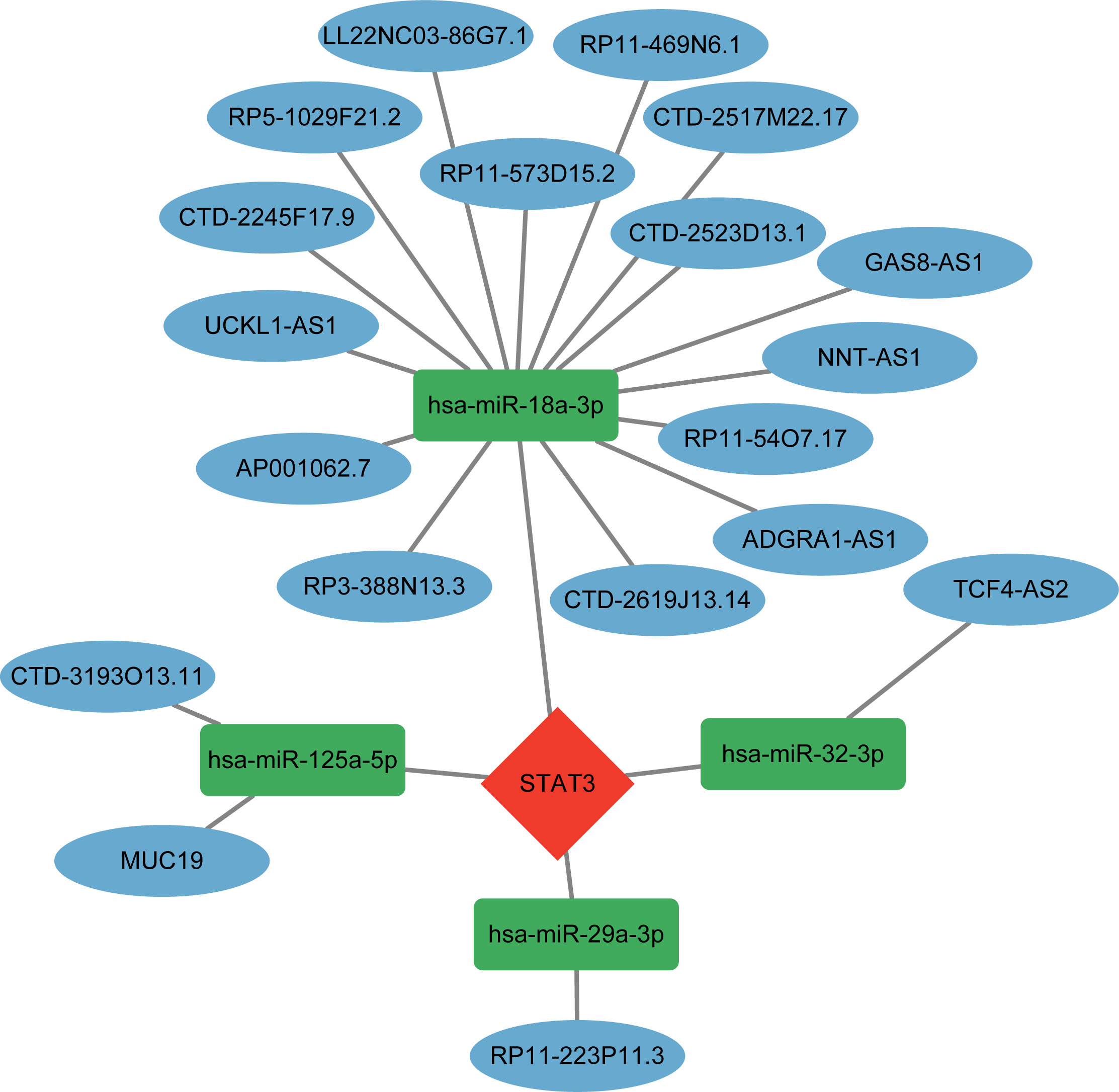 Fig. 6 
            Competing endogenous RNA (ceRNA) network diagram. miR, microRNA; STAT3, signal transducer and activator of transcription 3.
          