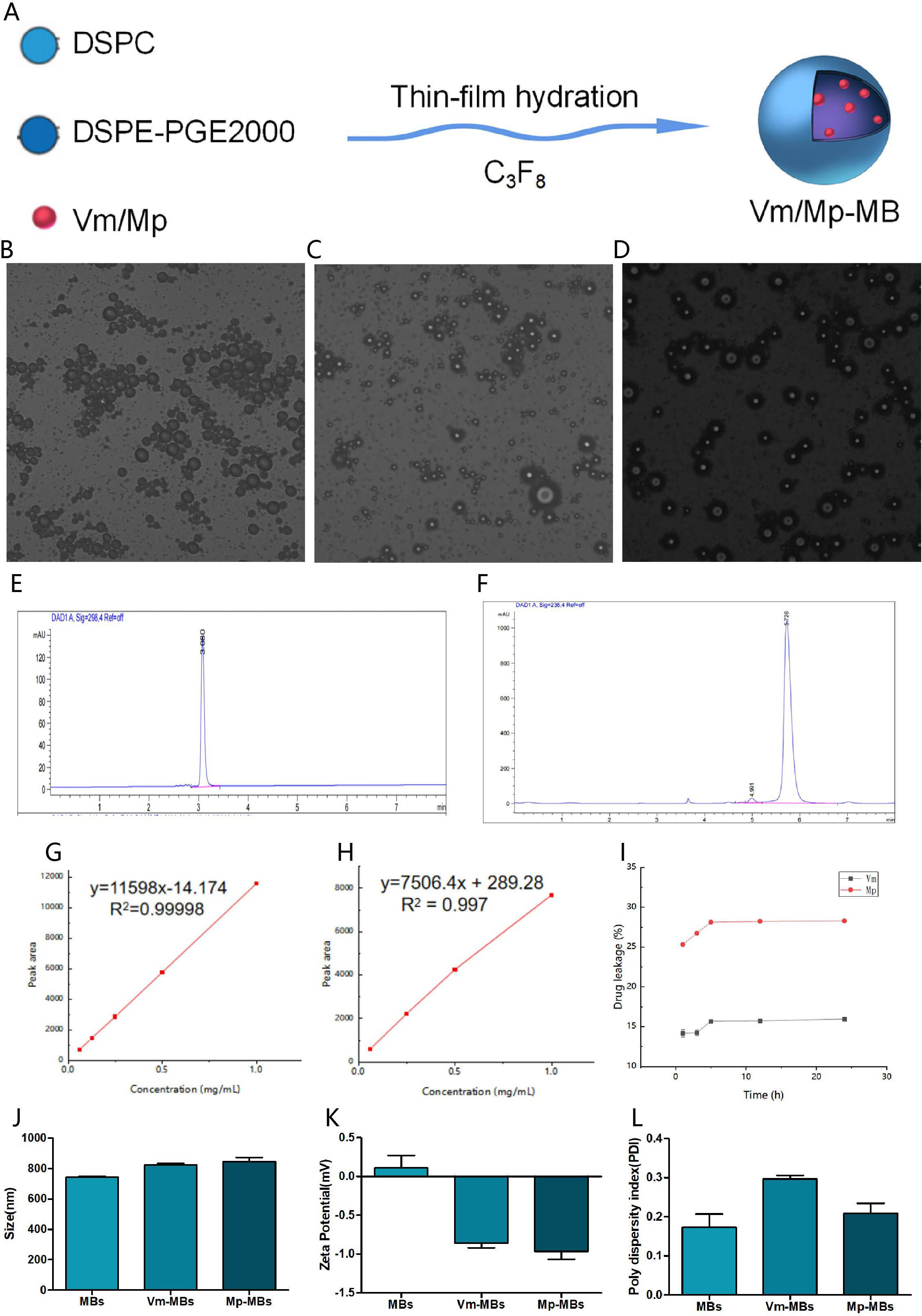 Fig. 2 
            Characterization of vancomycin (Vm)/meropenem-microbubbles (Mp-MBs). a) Schematic illustration of the preparation of Vm/Mp-MBs. b) to d) Confocal laser scanning microscope (CLSM) images of blank MBs, Vm-MBs, and Mp-MBs (200×). e) Vancomycin (Vm) high-performance liquid chromatogram (HPLC). f) Meropenem HPLC. g) Vm concentration versus peak area standard curve. h) Meropenem (MP) concentration versus peak area standard curve. i) Drug leakage of Vm or Mp from Vm-MBs or Mp-MBs into phosphate-buffered saline (PBS) at 4°C at different timepoints. j) Size of blank MBs, Vm-MBs, and Mp-MBs. k) Zeta potential of blank MBs, Vm-MBs, and Mp-MBs. l) Polydispersity index of blank MBs, Vm-MBs, and Mp-MBs. DSPC, 1,2-distearoyl-sn-glycero-3-phosphocholine; DSPE-PGE2000, 1,2-distearoyl-sn-glycero-3-phosphoethanolamine-N-[methoxy(polyethylene glycol)-2000].
          