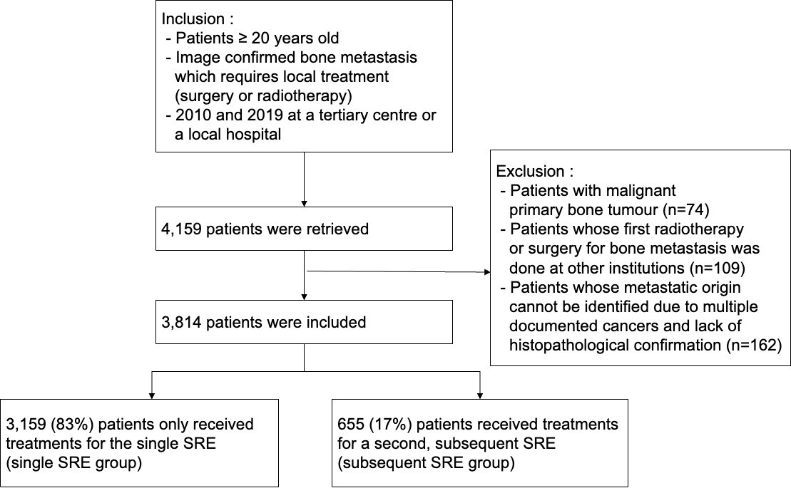 Fig. 1 
            Flowchart of patient enrolment. SRE, skeletal-related event.
          