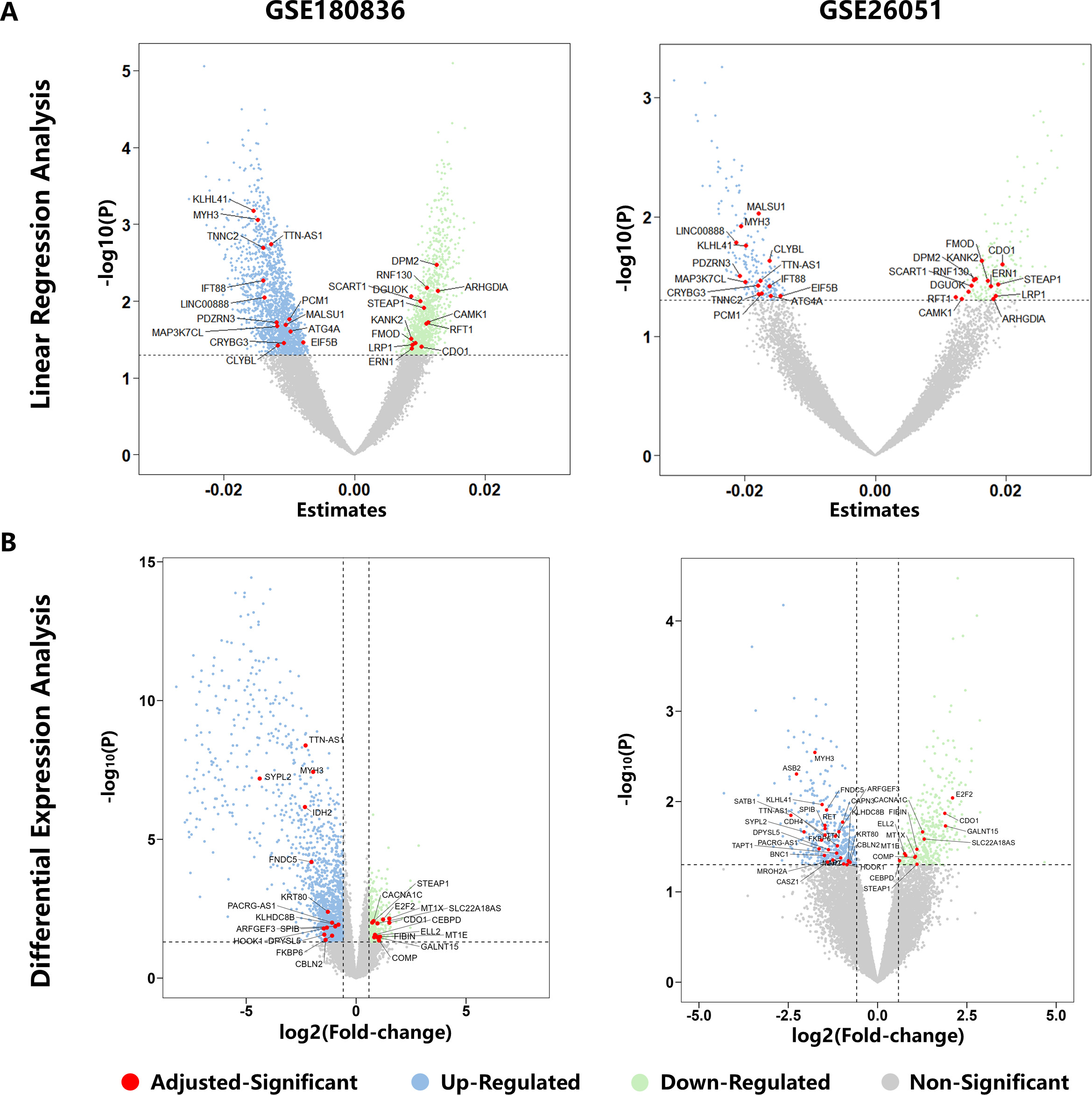 Fig. 2 
            Scatterplots of age-related genes involved in the present study. a) Linear regression analysis on gene expressions and age in GSE180836 (left) and GSE26051 (right). Candidate genes significantly related to age were plotted in light green for positive correlations and light blue for negative correlations (p < 0.05, independent-samples t-test). A total of 27 age-related genes determined by adjusted significance threshold (false discovery rate (FDR) < 0.05) in the meta-analysis were further filled in red and labelled with gene symbols. b) Differential expression analysis comparing the Aged group to the Young group in GSE180836 (left) and GSE26051 (right). Candidate genes significantly related to age were plotted in light green for upregulated correlations and light blue for downregulated correlations (p < 0.05 (independent-samples t-test) and |Fold-change| > 1.5). A total of 27 age-related genes determined by adjusted significance threshold (FDR < 0.05 and |Fold-change| > 1.5) in the meta-analysis were further filled in red and labelled with gene symbols.
          