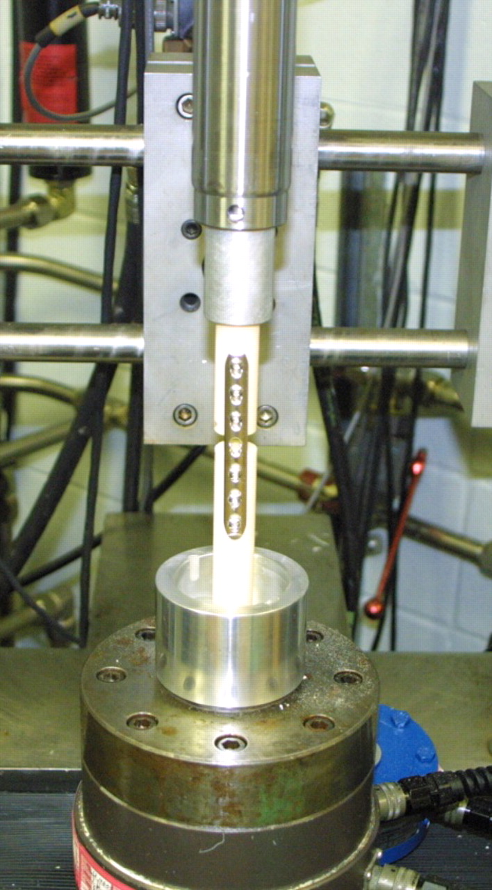 Fig. 3 
            Photograph showing the pre-test setup
of the torsion testing model. The construct was secured with an
alignment fixture and cemented into a potting apparatus.
          