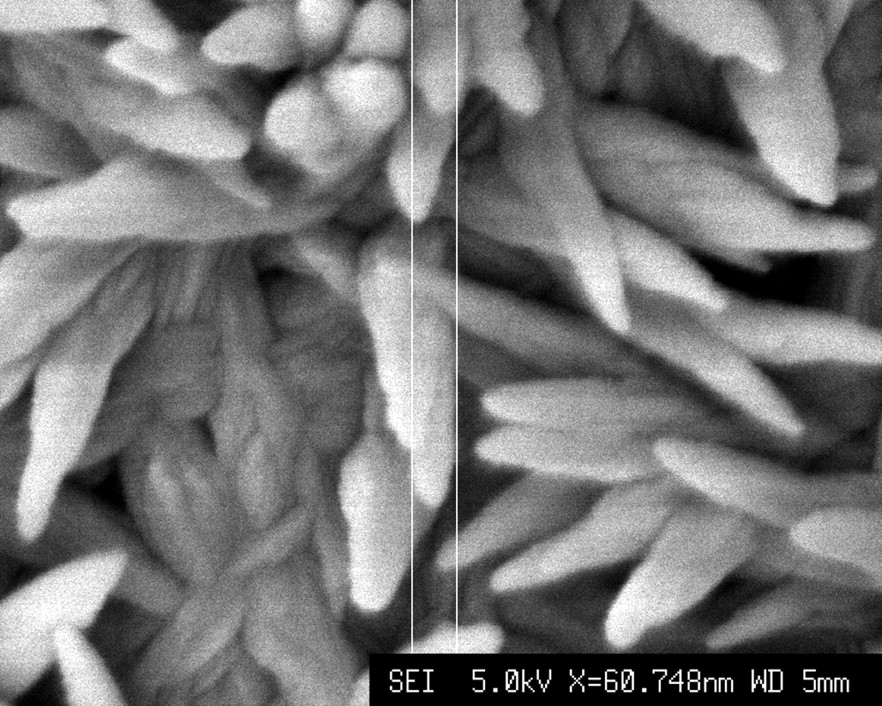 Figs. 1a - 1b 
            
              Figure 1a – plot showing characterisation
of α-tricalcium phosphate (α-TCP), with the X-ray diffraction pattern
of α-TCP sintered at 1400°C. The asterisks denote α-TCP. Figure
1b – scanning electron microscopy image of α-TCP at × 60 000 magnification.
          