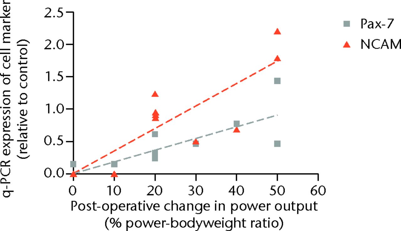 Fig. 3 
              Scatter graph showing the satellite
cell volume by expression of cell marker and post-operative change
in power output in the cohort examined with quantitative polymerase
chain reaction (q-PCR) (NCAM, Neural Cell Adhesion Molecule).
            