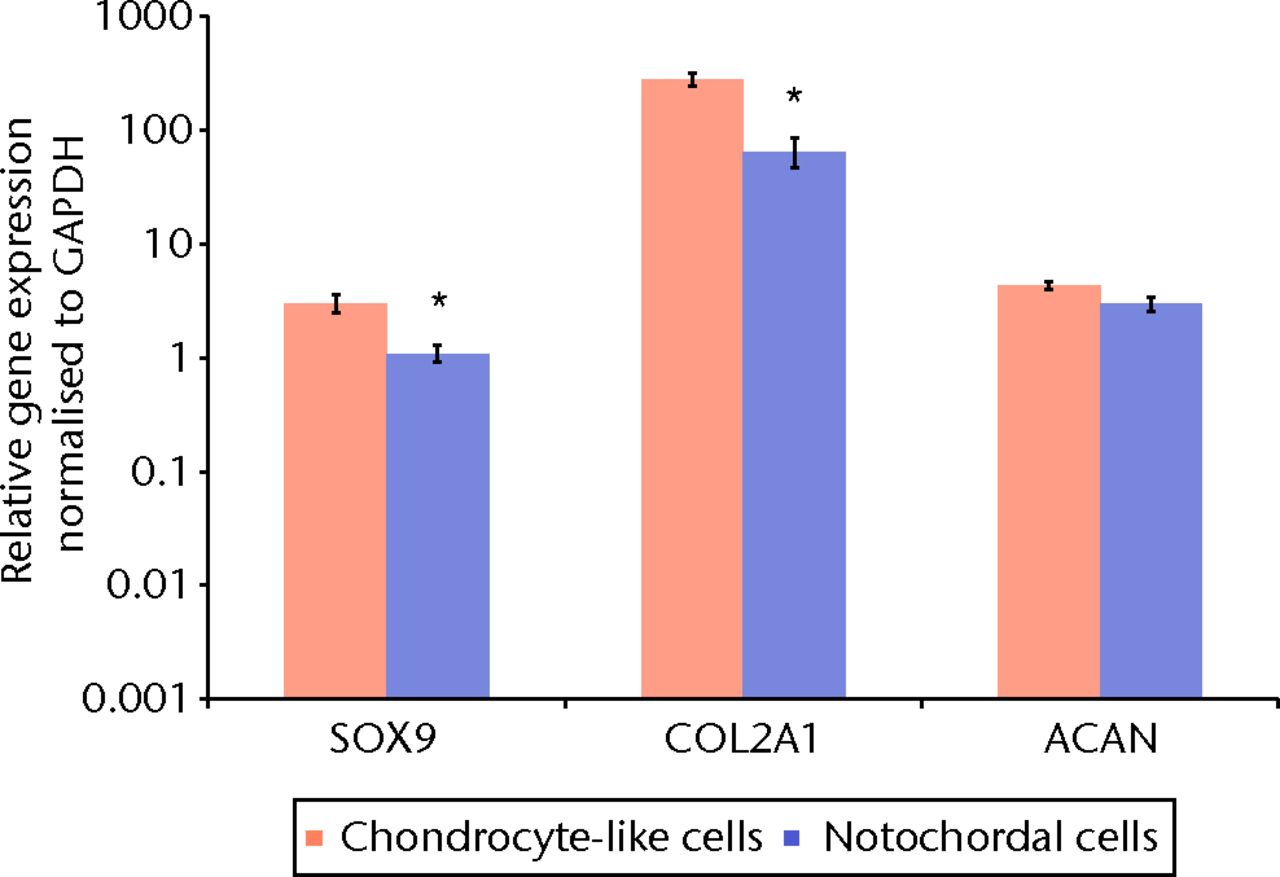 Fig. 2 
          Bar chart showing the quantitative real-time
polymerase chain reaction for chondrogenic marker genes in separated
bovine small chondrocyte-like and notochordal cells. The mean relative
gene expression for the chondrogenic marker genes sex-determining
region Y (SRY)-box 9 (SOX9), type II collagen (Col2A1) and aggrecan
(ACAN) was normalised for the housekeeping gene glyceraldehyde-3-phosphate
dehydrogenase (GAPDH) and plotted on a log scale (* p <
 0.05).
Error bars denote the standard error of the mean.
        