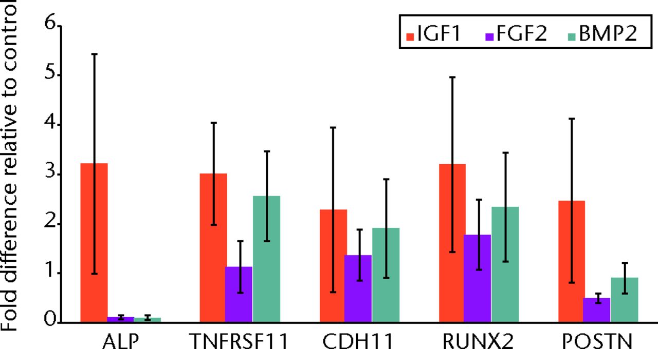 Fig. 1 
          Graph showing the regulation of differentiation
and cell fate by growth factors osteoblasts in in vitro culture
were treated with insulin-like growth factor 1 (IGF1), bone morphogenetic
protein 2 (BMP2) or fibroblast growth factor (FGF). For the quantitative analysis,
we compared expression levels of the genes shown with the expression
level of glyceraldehyde 3-phosphate dehydrogenase (GAPDH) (comparative
CT method - ΔCT). Error bars represent standard deviation of triplicate
qPCR measurements. Expression levels in untreated control cells
are normalised to 1 and are thus not shown.�
        