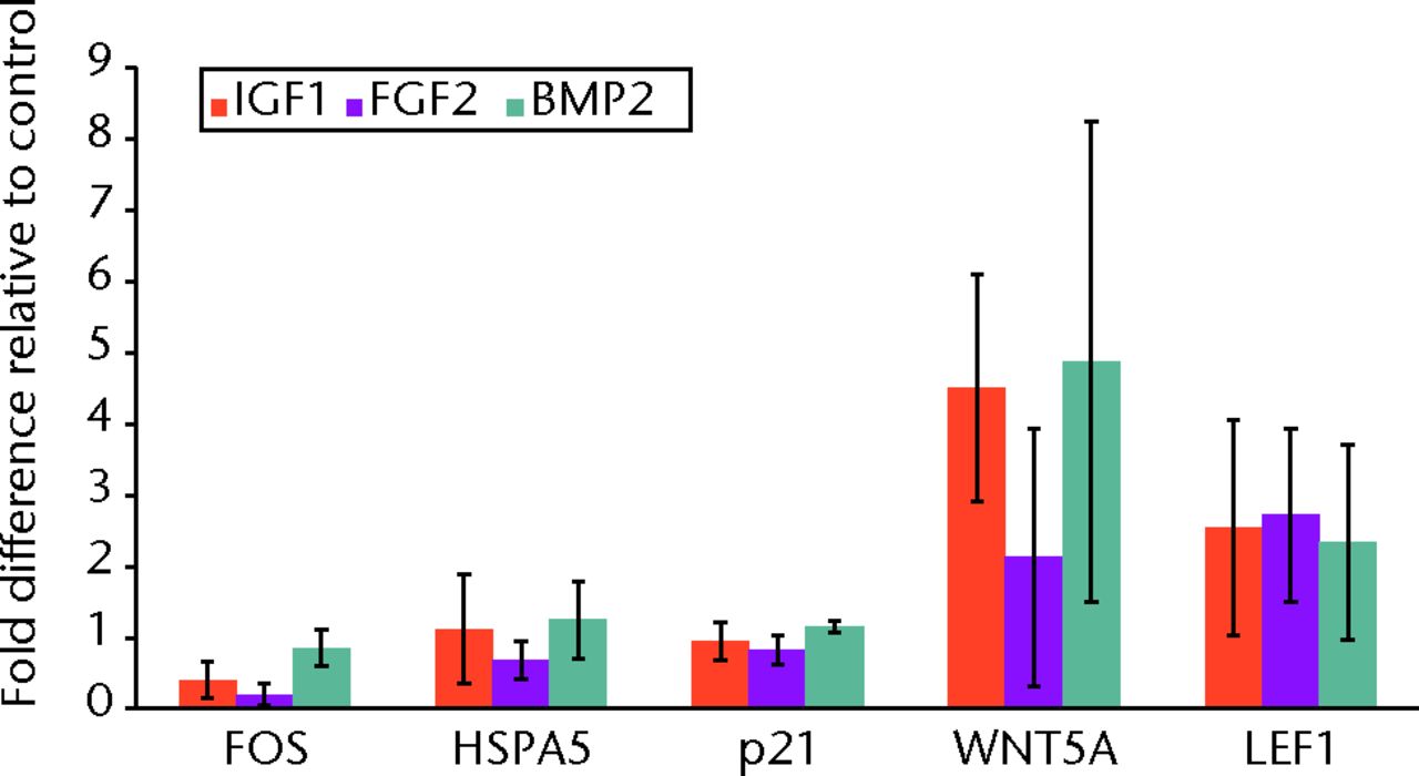 Fig. 2 
          Graph showing the expression of genes
involved in cell signalling by growth factors. All growth factors
tested increase expression of WNT5A and LEF1 which are involved
in Wnt signalling. FOS, which is involved in Smad signalling, is
attenuated by IGF1 and FGF2. No effect is seen in HSPA5 which is
regulated by p38 MAP kinase signalling. Also, p21 levels remain
constant under all conditions. Expression levels in untreated control
cells are normalised to 1 and are thus not shown.
        
