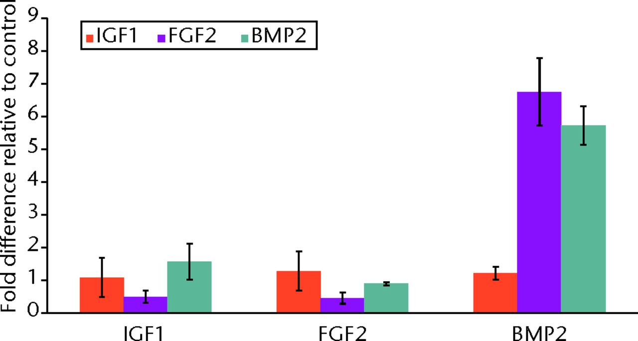 Fig. 3 
          Graph showing the influence of growth
factors on the expression of the growth factors. Bone morphogenetic
protein 2 (BMP2) is a strong inducer of its own gene (BMP2). Interestingly,
BMP2 expression is also upregulated by fibroblast growth factor
2 (FGF2). This may explain the strong resemblance between our FGF2
and BMP2 results as insulin-like growth factor 1 (IGF1) does not
show any influence on BMP2 expression. Expression levels in untreated
control cells are normalised to 1 and are thus not shown.
        