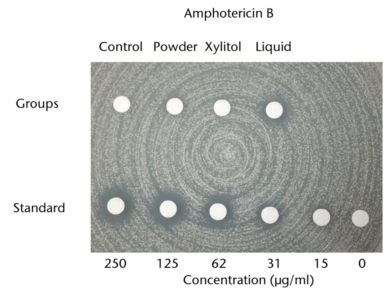 Figs. 3a - 3b 
          Charts showing antibacterial activity
of eluate samples from bone cement with different preparations,
as determined by agar-disk diffusion bioassay. The data are presented
in terms of inhibition of the test organisms: figure 1a - methicillin-resistant Staphylococcus
aureus and b) Candida albicans. The growth
was visually compared with standard samples containing different
concentrations of a) vancomycin and b) amphotericin B. 
        