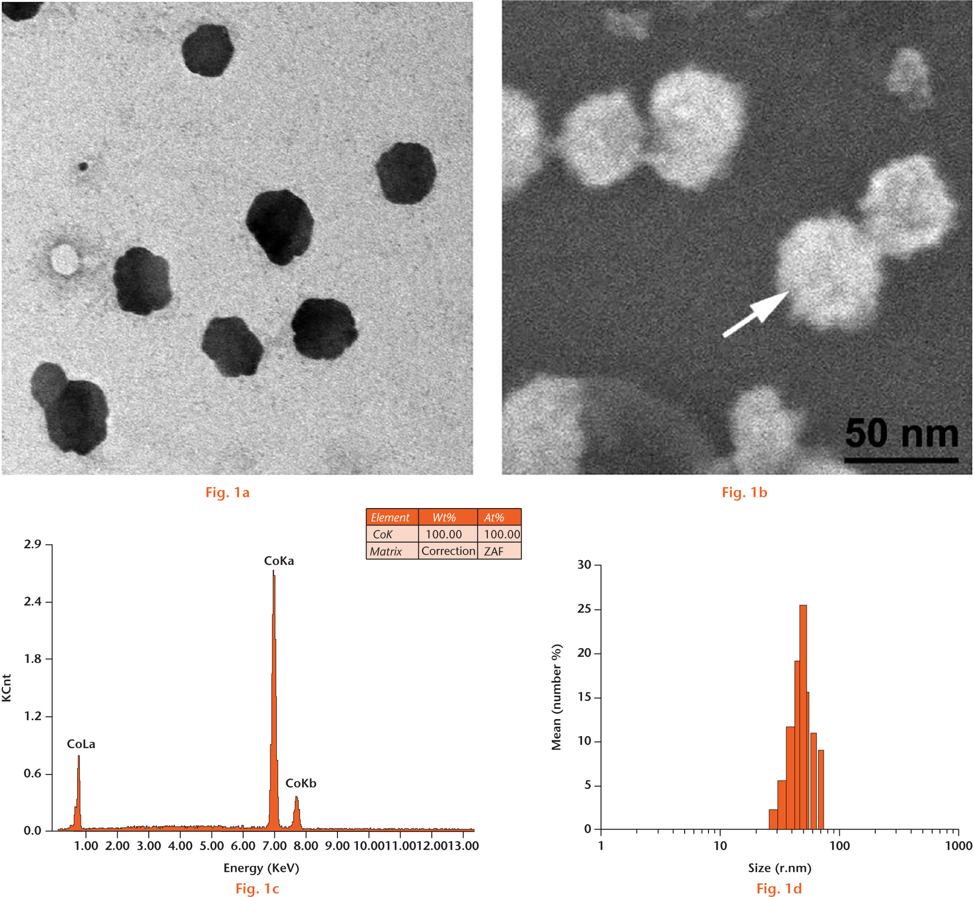 Fig. 1 
            Physicochemical properties of cobalt nanaparticles (Co-NPs). a) TEM micrograph of Co-NPs. Scale bar is 50 nm. b) SEM micrograph of Co-NPs. Scale bar is 50 nm. c) The EDS analysis of Co-NPs (the black arrow marker in b). d) Particle size distribution of Co-NPs.
          