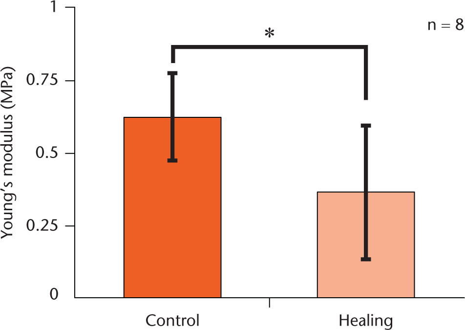 Fig. 7 
            Comparison of Young’s modulus between the control samples (n = 8) and the healing samples (n = 8). Error bar shows the standard deviation of the data. *p < 0.05 (Student’s t-test).
          