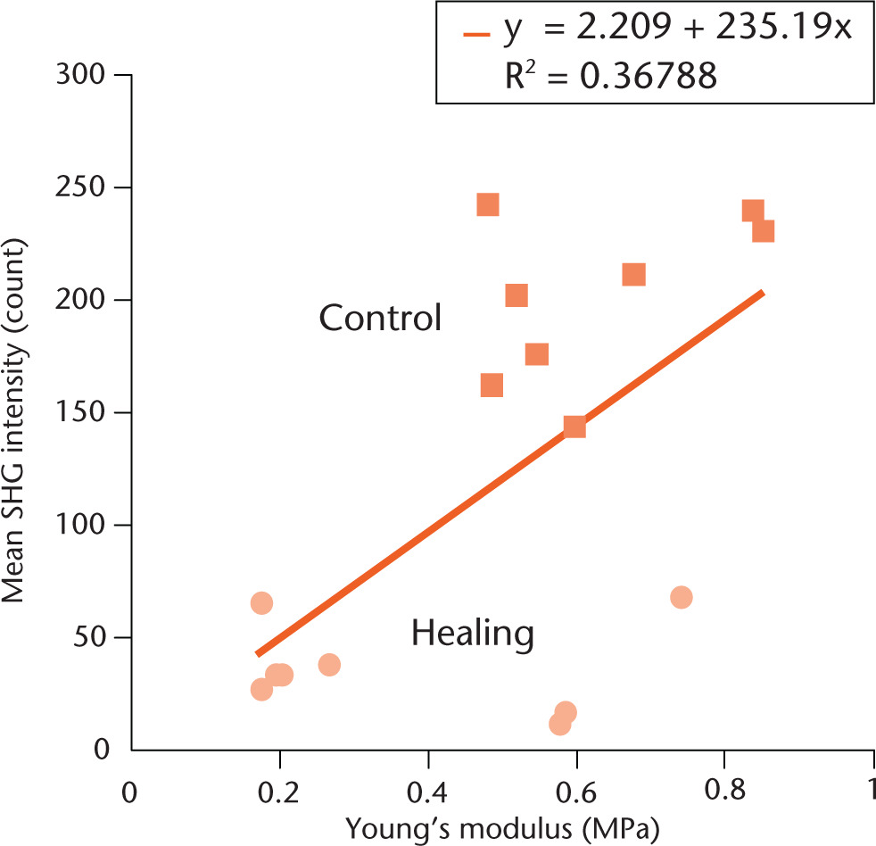 Fig. 8 
            Correlation between mean second-harmonic-generation light intensity and Young’s modulus. Square plots show the control samples (n = 8), whereas circle plots show the healing sample (n = 8). Line shows the result of linear fitting to the plots of both control and healing samples, respectively.
          