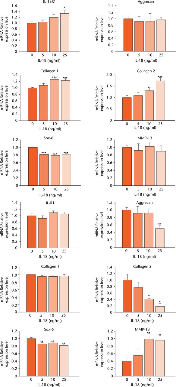 Fig. 2 
            Graphs showing mRNA expression levels of disc degeneration-related genes induced by interleukin (IL)-18 treatment in human annulus fibrosus cells (HAFCs). mRNA expression levels of IL-18R1, aggrecan, type I collagen, type II collagen, SOX6, and MMP13 were determined by real-time PCR after treatment with various concentrations of IL-18 for 12 or 24 hours. The expression of target genes was normalised by the expression of Glyceraldehyde 3-phosphate dehydrogenase (GAPDH). Ratios of the normalised expression of target genes at each IL-18 dose relative to that of untreated cells are shown. Results are expressed as means and standard error.
          