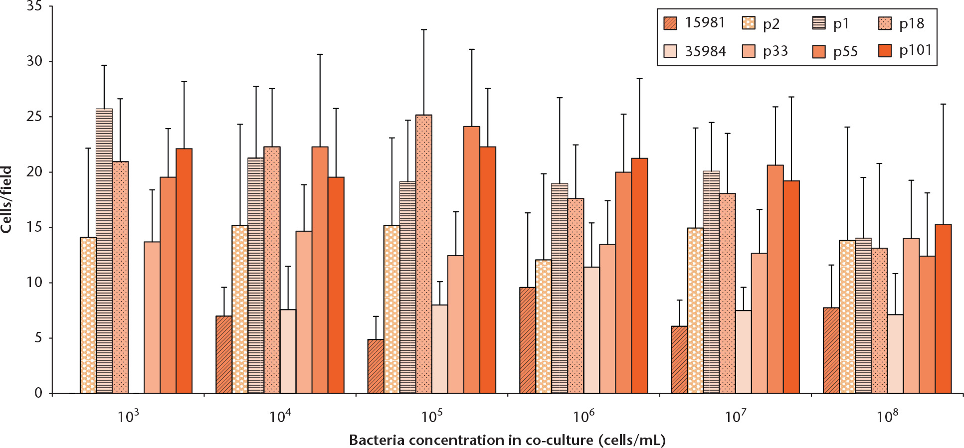 Fig. 2 
            Pre-osteoblastic cell adherence in co-culture with collection and clinical strains.
          