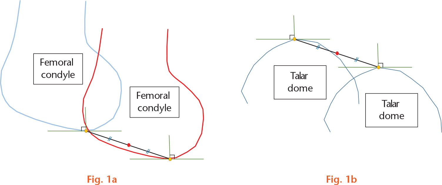  
            Centre of a) knee joint, b) ankle joint. The red spots represent the centre of each joint.
          