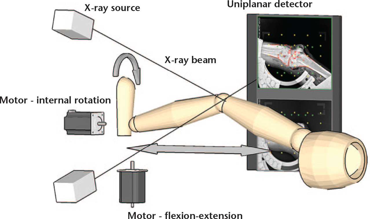 Fig. 2 
            Schematic drawing of the set-up, showing how the tubes are positioned in front of the knee, while the detectors are located behind the knee. The two motors are visualising how the knees are moved during the dynamic recording.
          