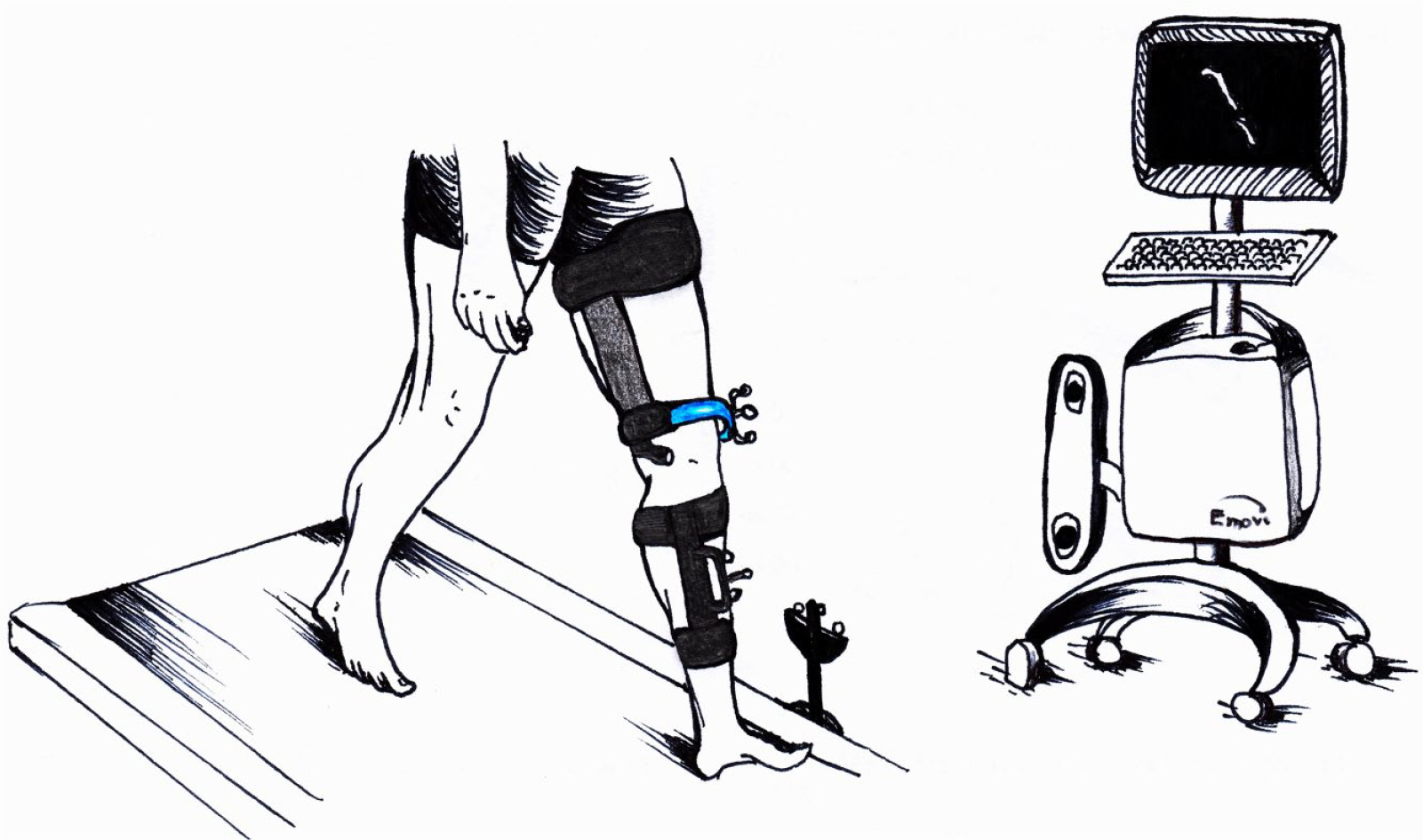Fig. 2 
            KneeKG system attachment braces, reference tracker and computer enabled with Knee3D Suite.
          