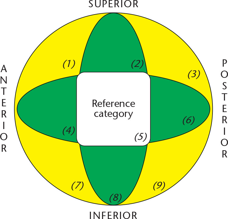 Fig. 2 
          Diagram showing the modified Cleveland system10 used in our study. Nine areas were reduced to three, specifically the central (reference category) and two peripherals denoted “+” (in green) and “x” (in yellow).
        