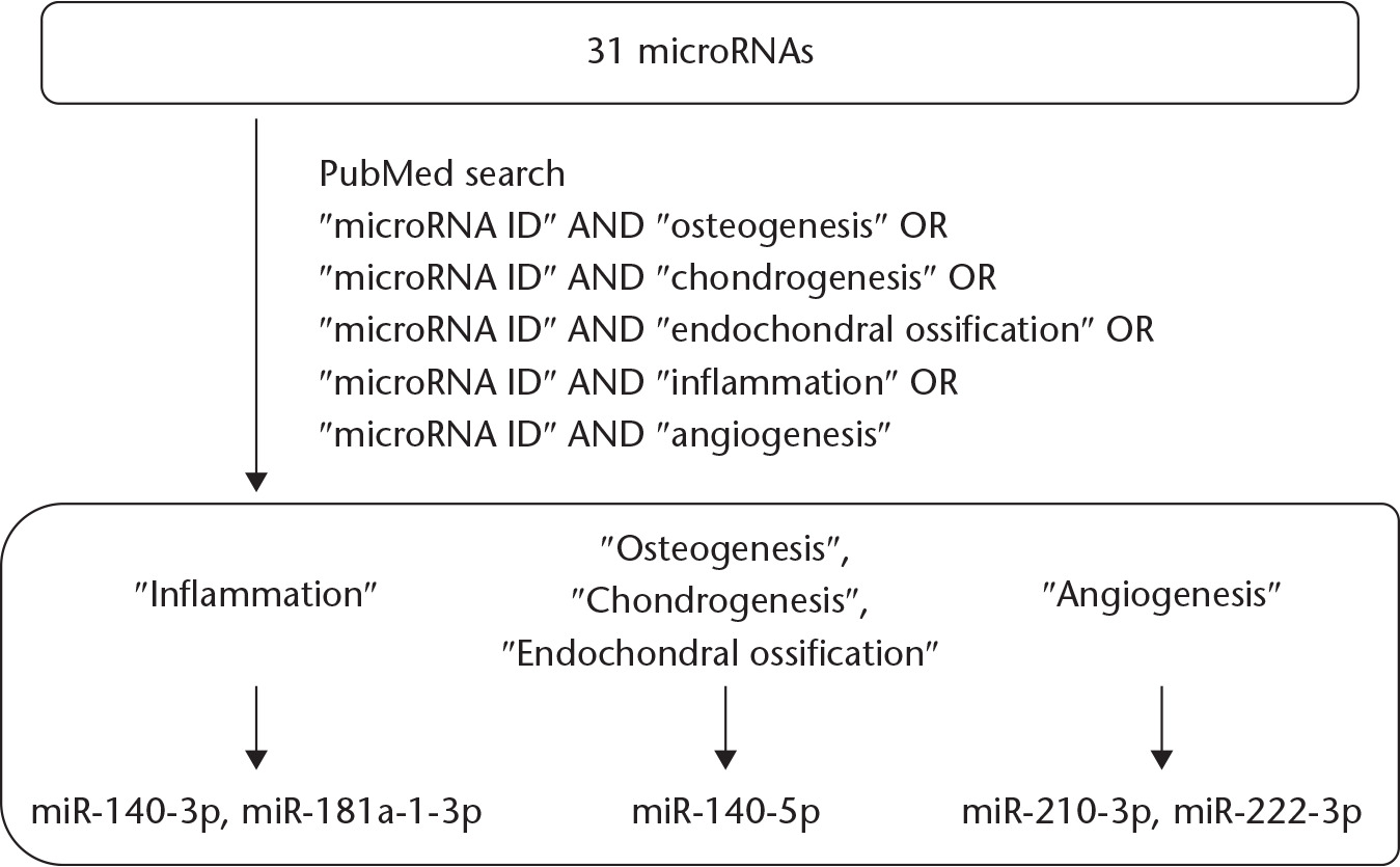 Fig. 4 
            Flowchart of types of microRNA (miRNA) selected from the array results for further investigation with real-time polymerase chain reaction by the extended literature search performed using the PubMed search engine.
          